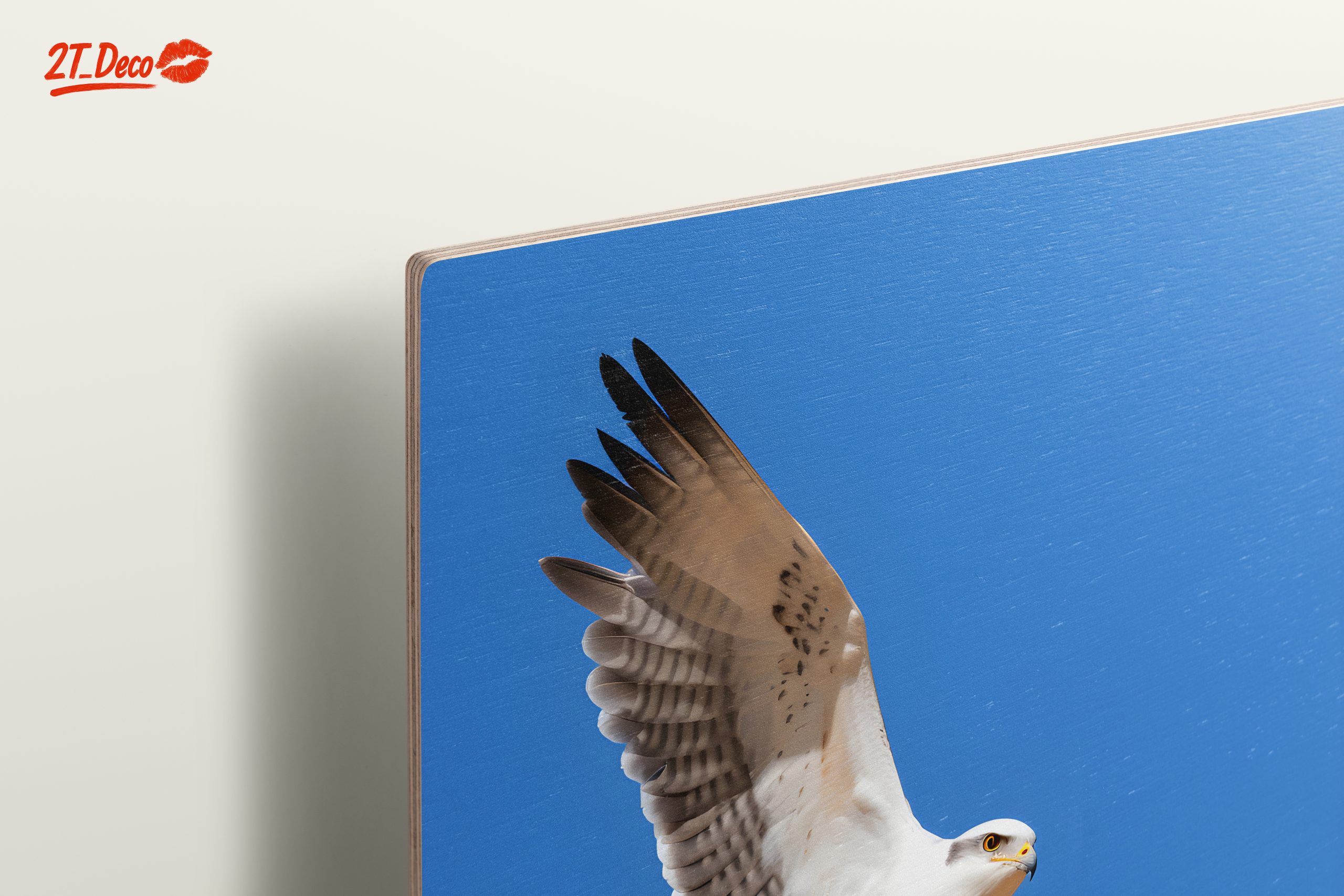 Majestic Eagle in Flight Wall Art 3 - Image 15
