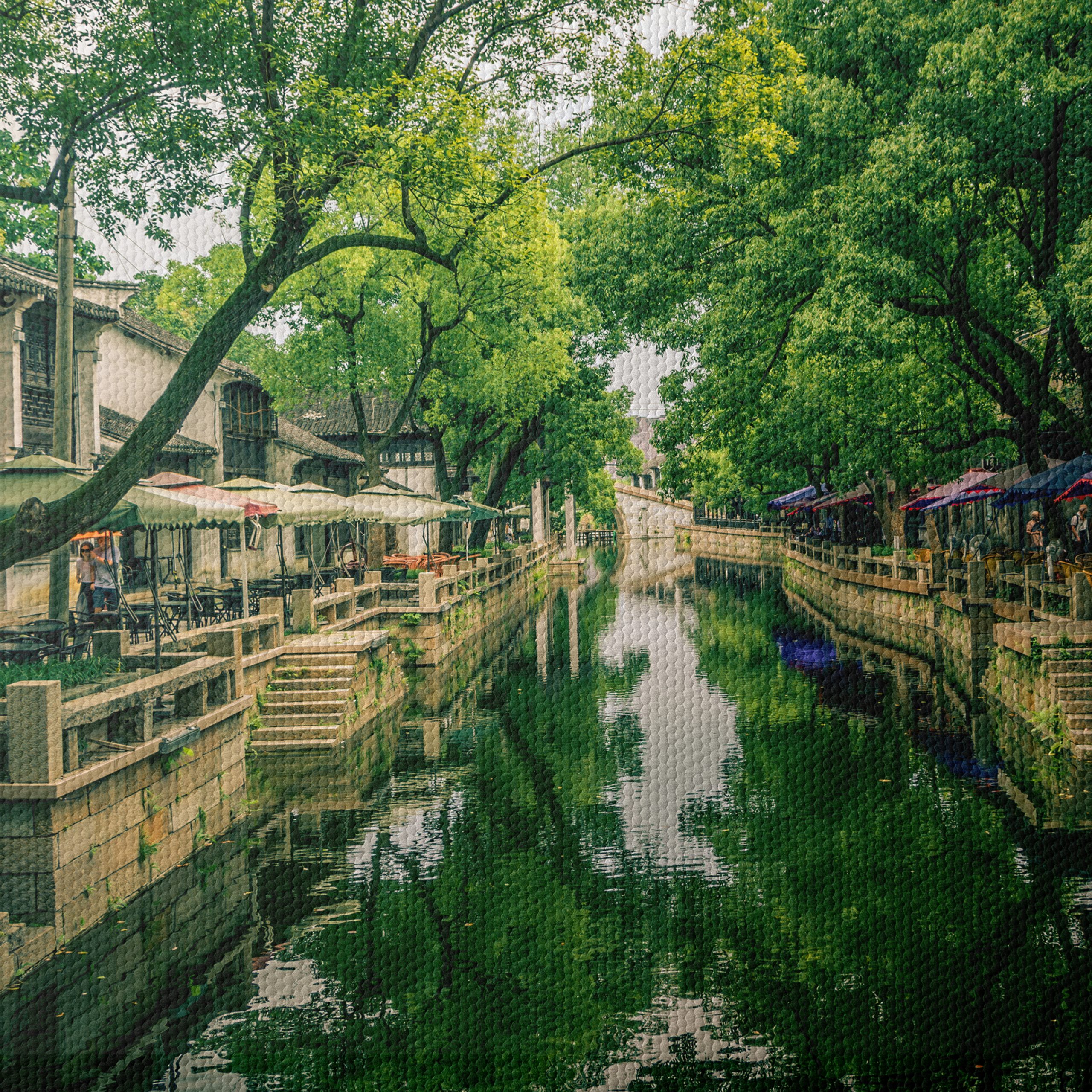 Charming Cityscape with Greenery - Image 4