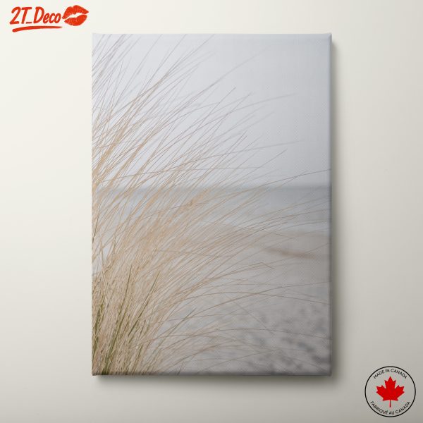 Serene Coastal Landscape with Grass