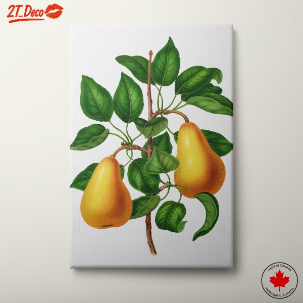 Pears and Green Leaves Botanical Art