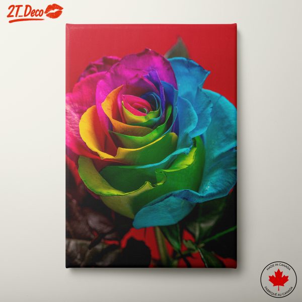 Vivid Rainbow Rose Art