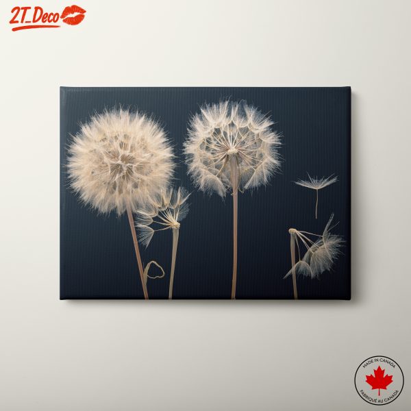 Dandelion Flowers in Elegant Style