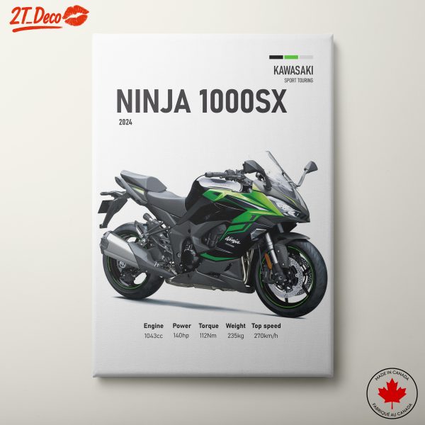 Kawasaki Ninja 1000SX Sport Touring Motorcycle