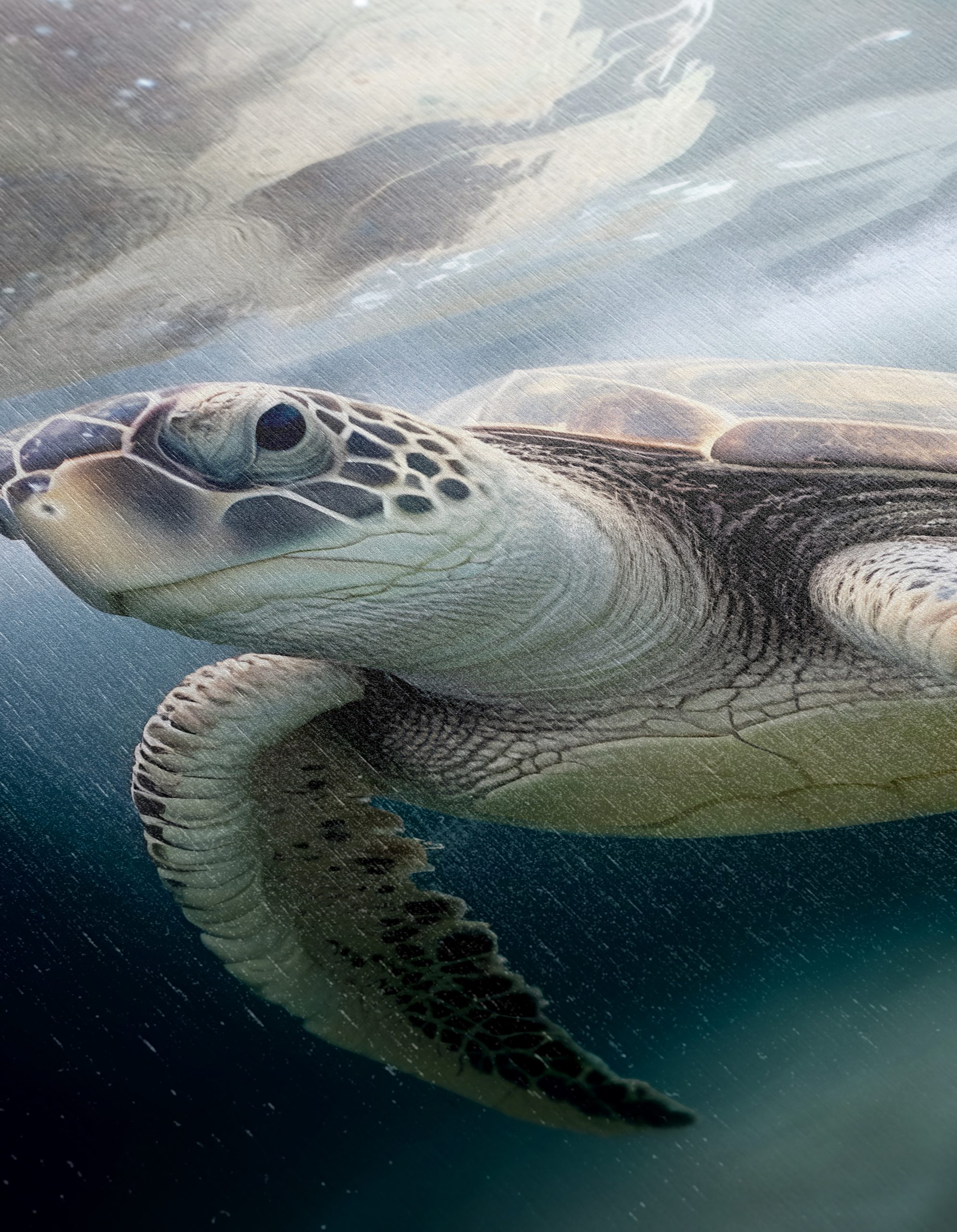 Turtle Swimming Underwater Art - Image 12