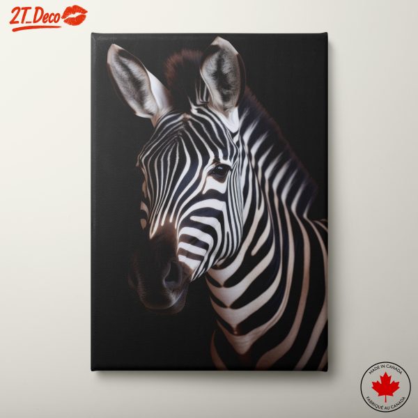 Majestic Zebra Portrait Against Black Background