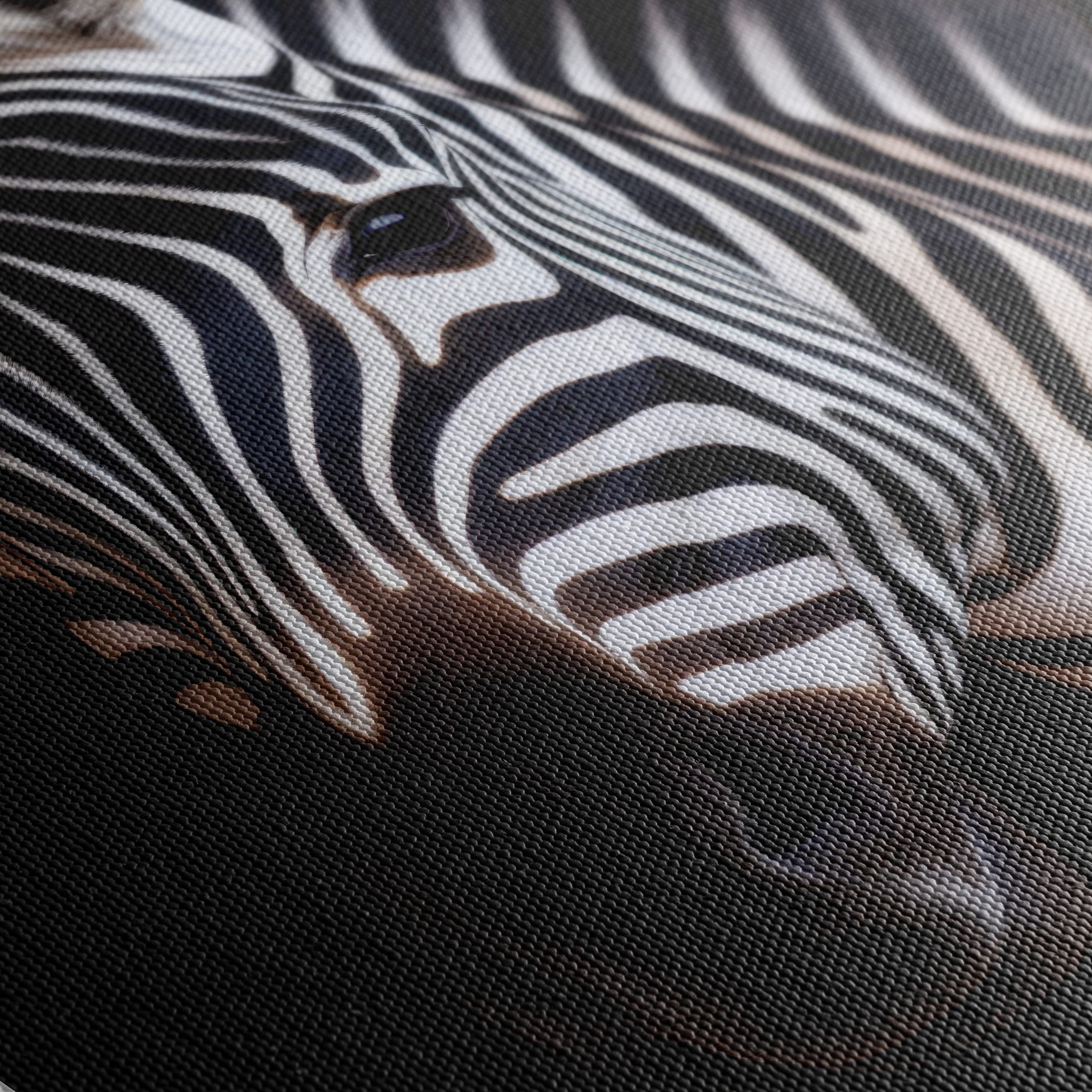 Majestic Zebra Portrait Against Black Background - Image 5