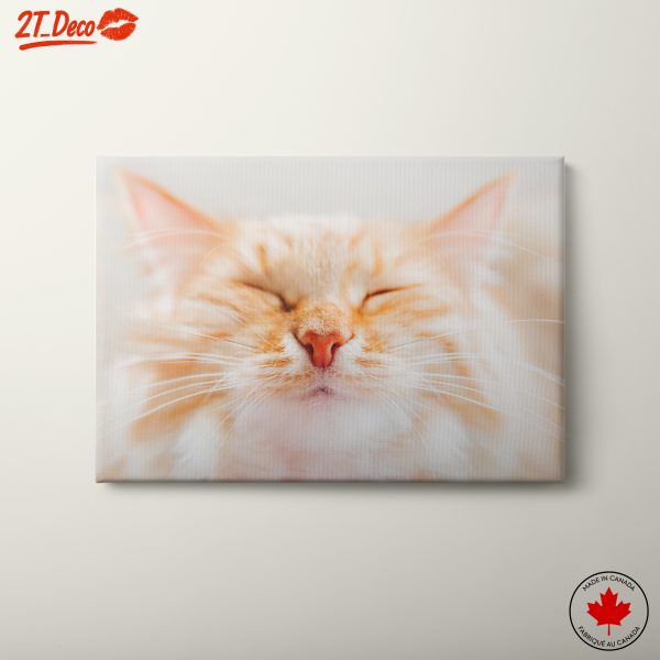 Close-Up Portrait of a Cat 3
