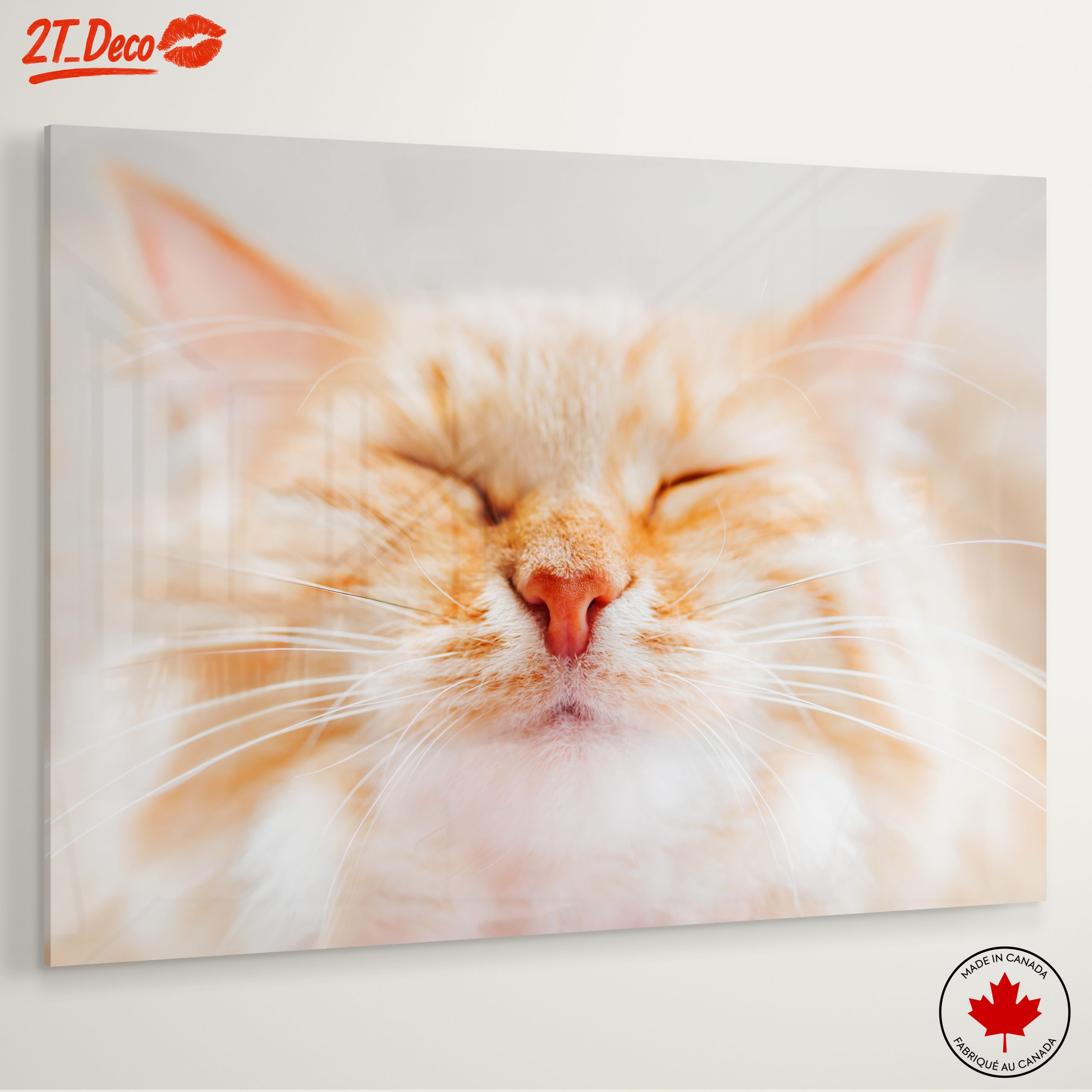 Close-Up Portrait of a Cat 3 - Image 6