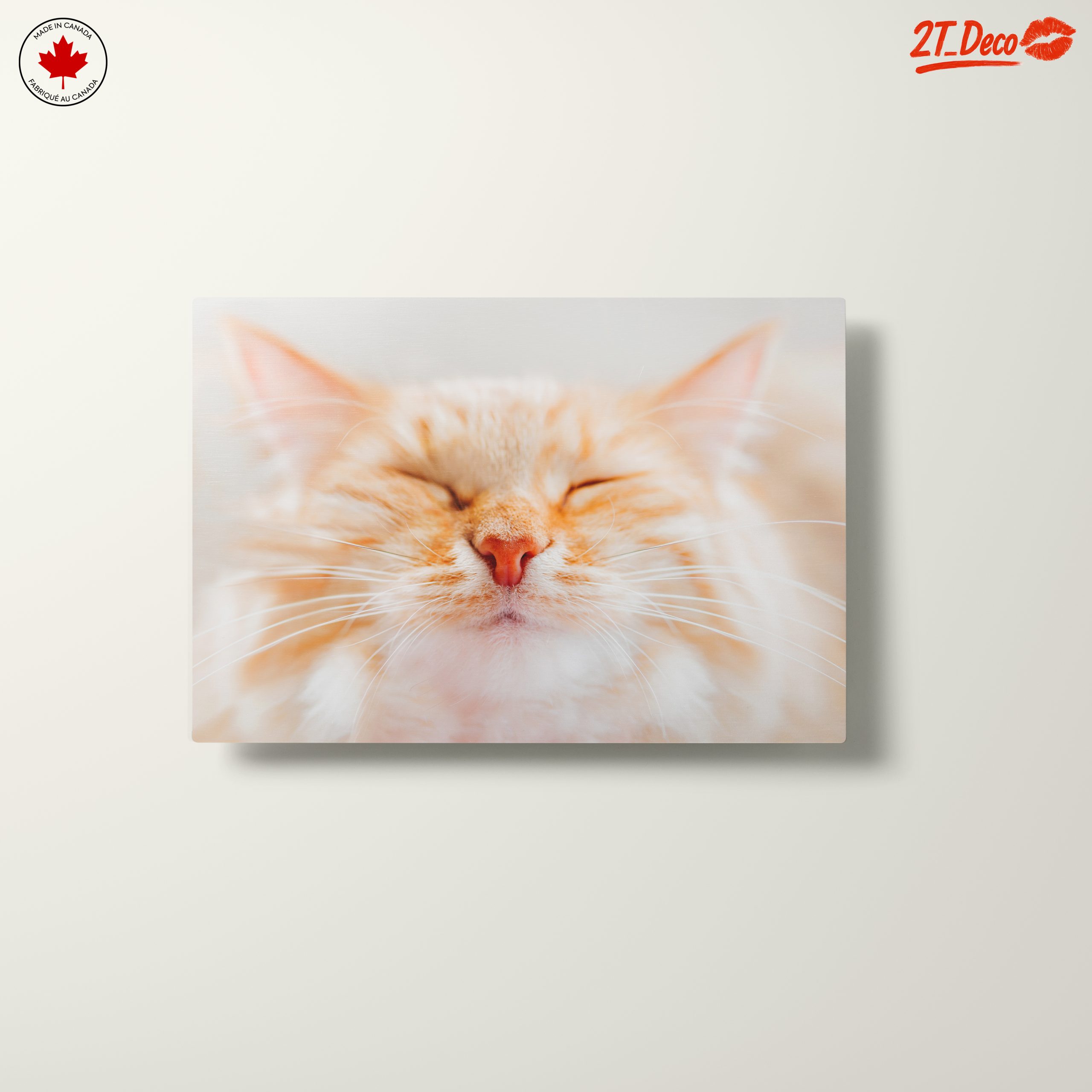 Close-Up Portrait of a Cat 3 - Image 10