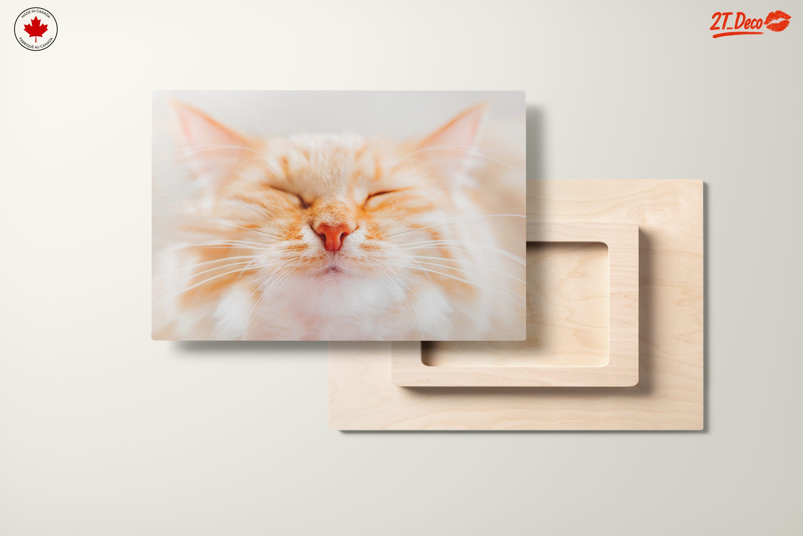 Close-Up Portrait of a Cat 3 - Image 11