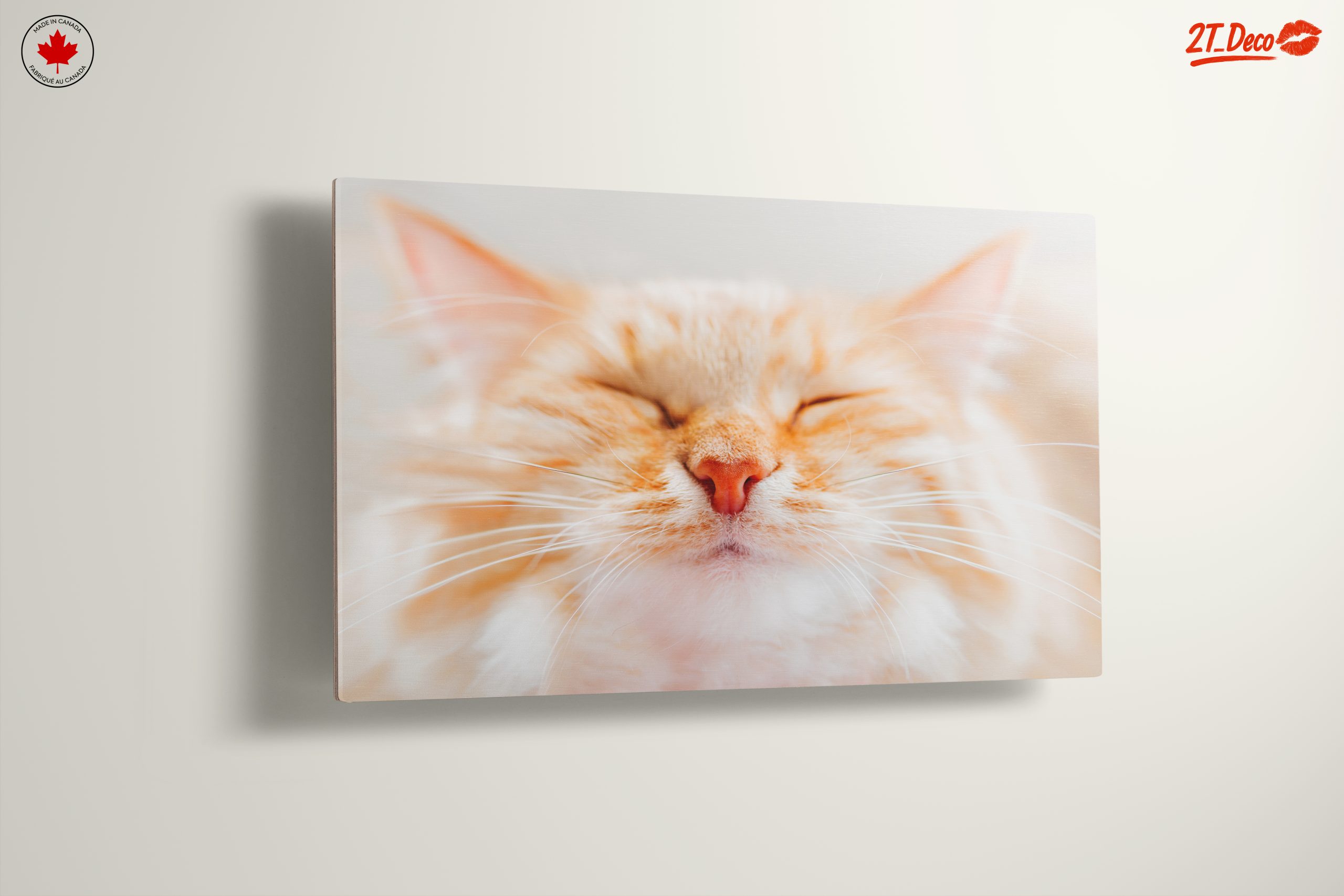 Close-Up Portrait of a Cat 3 - Image 13