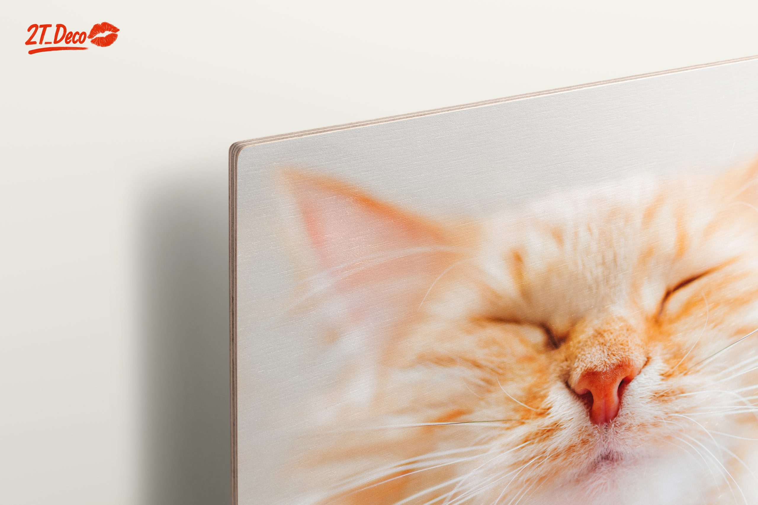 Close-Up Portrait of a Cat 3 - Image 15