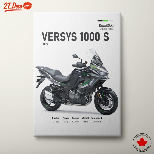Kawasaki Versys 1000 S Adventure Motorcycle
