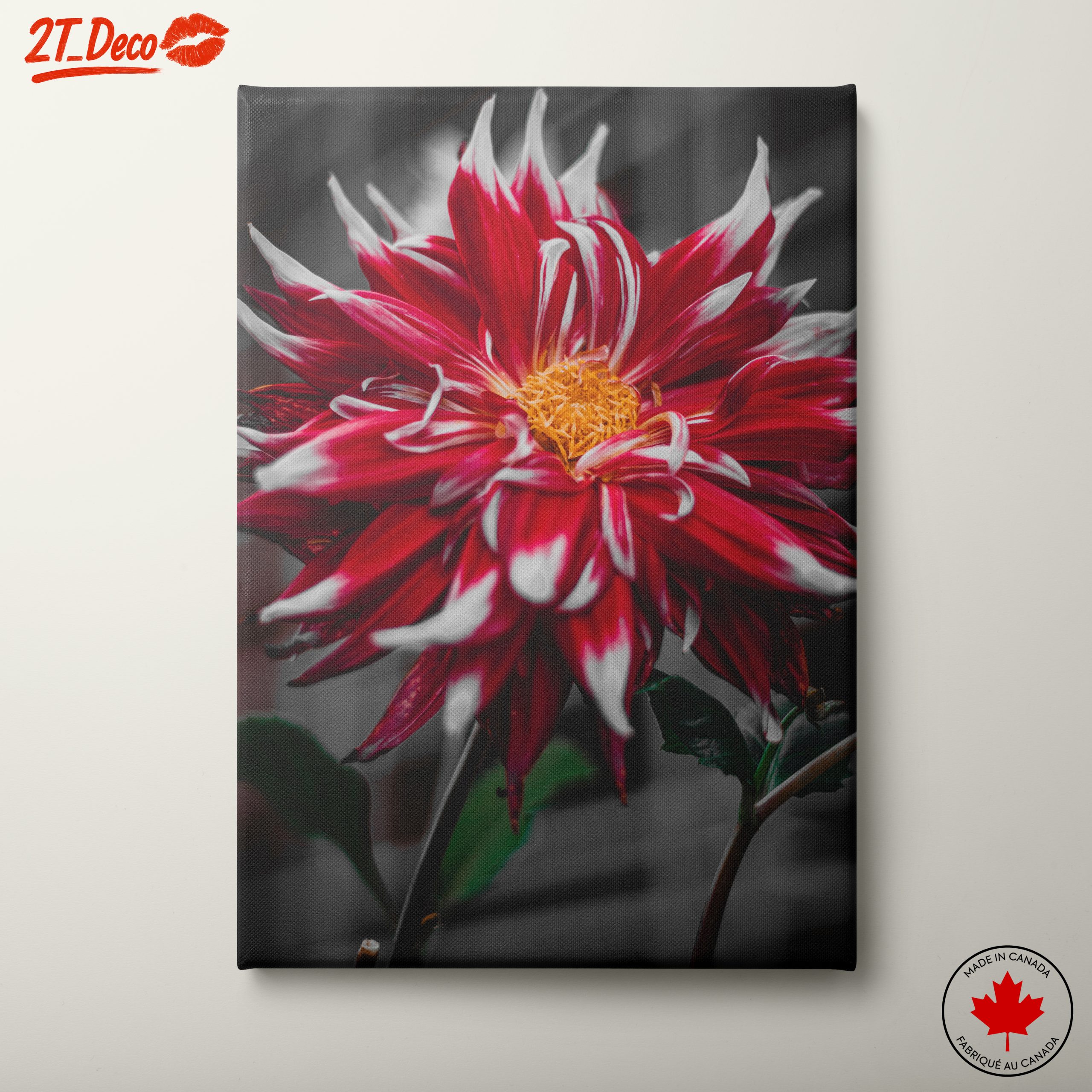 Vibrant Flower in Bold Colors