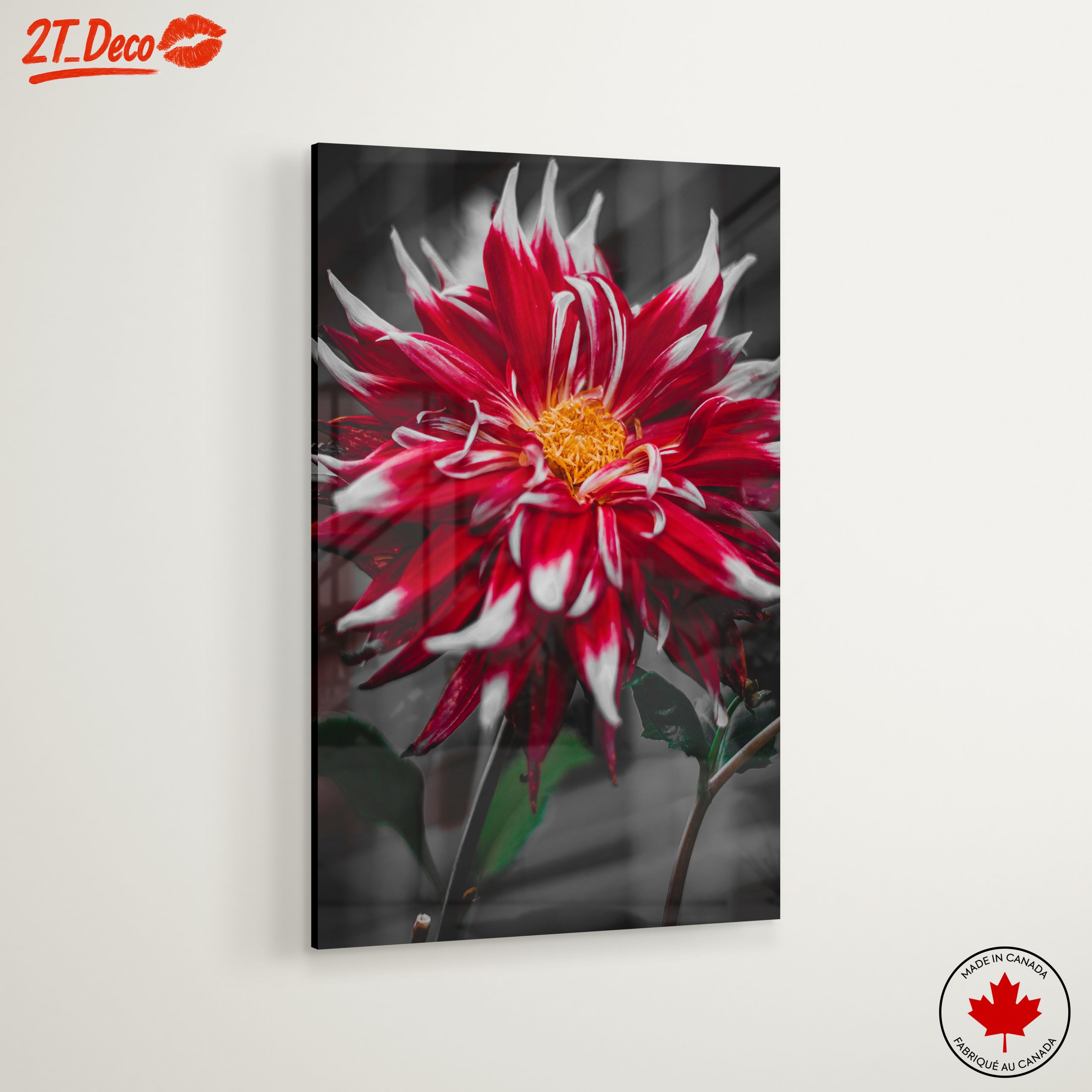 Vibrant Flower in Bold Colors - Image 6