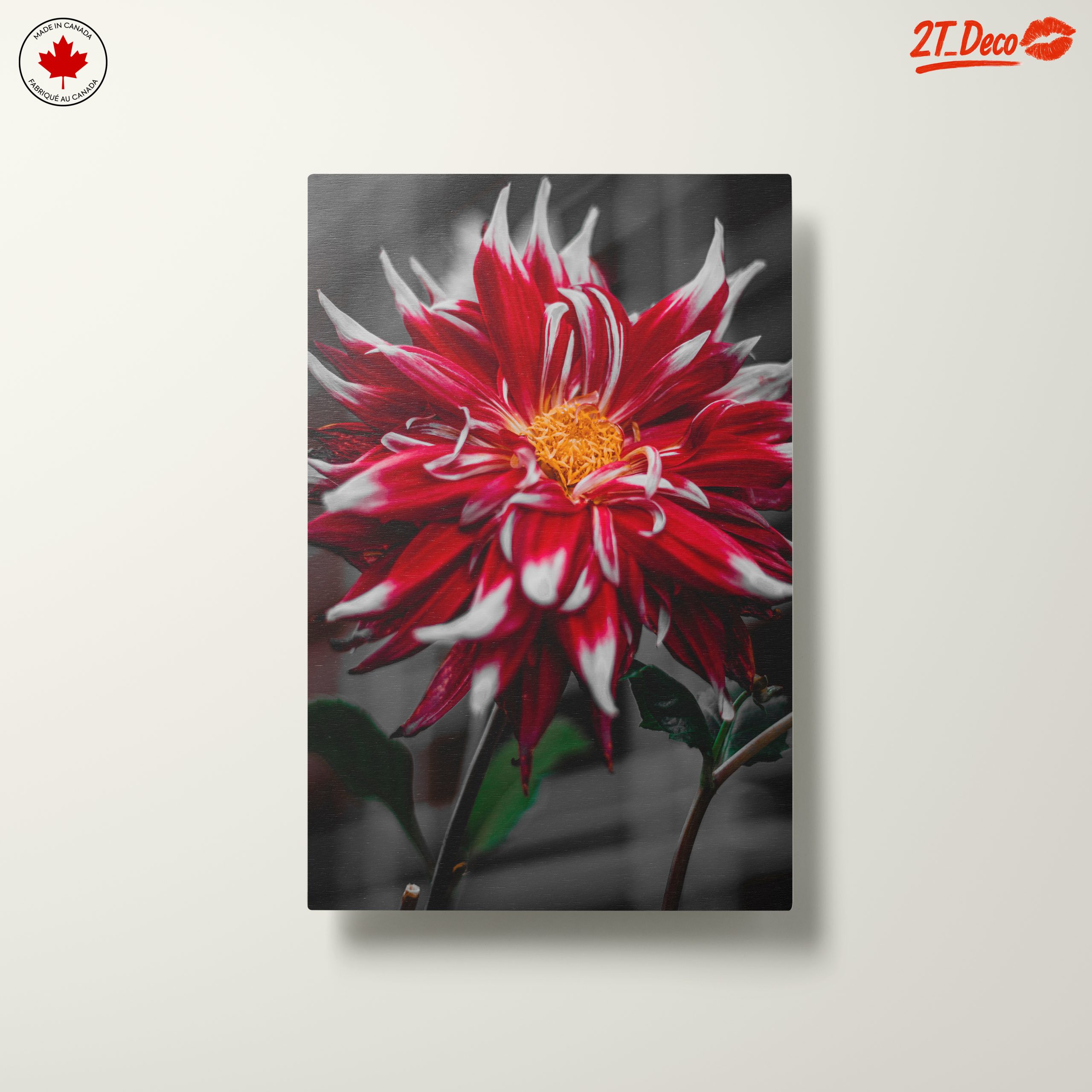 Vibrant Flower in Bold Colors - Image 10