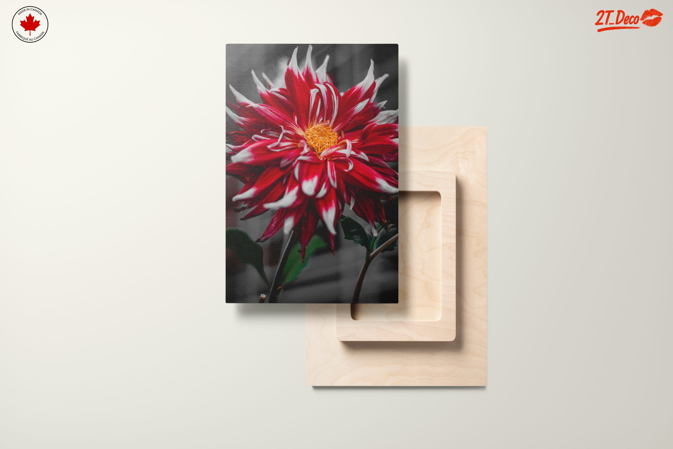 Vibrant Flower in Bold Colors - Image 11