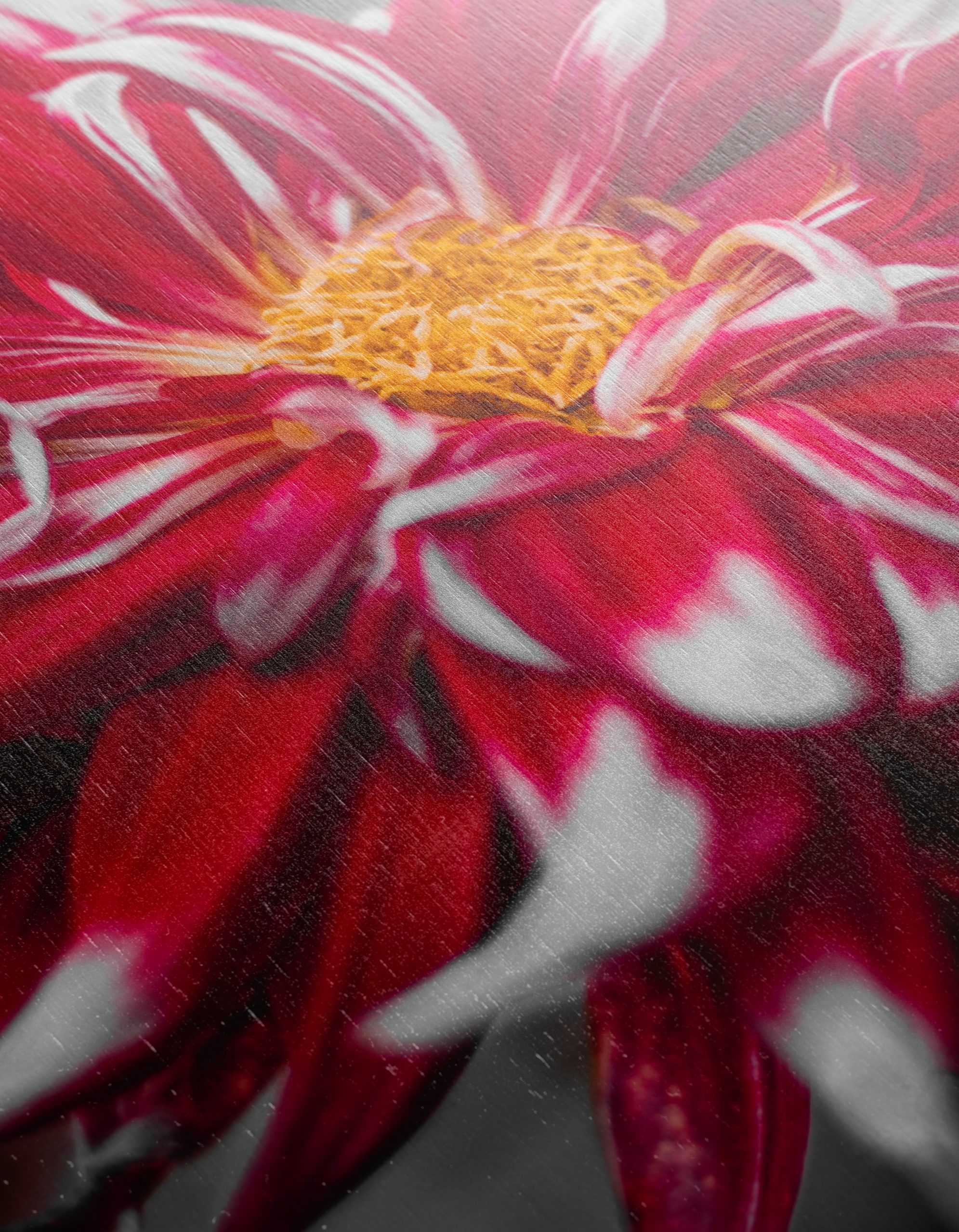 Vibrant Flower in Bold Colors - Image 12