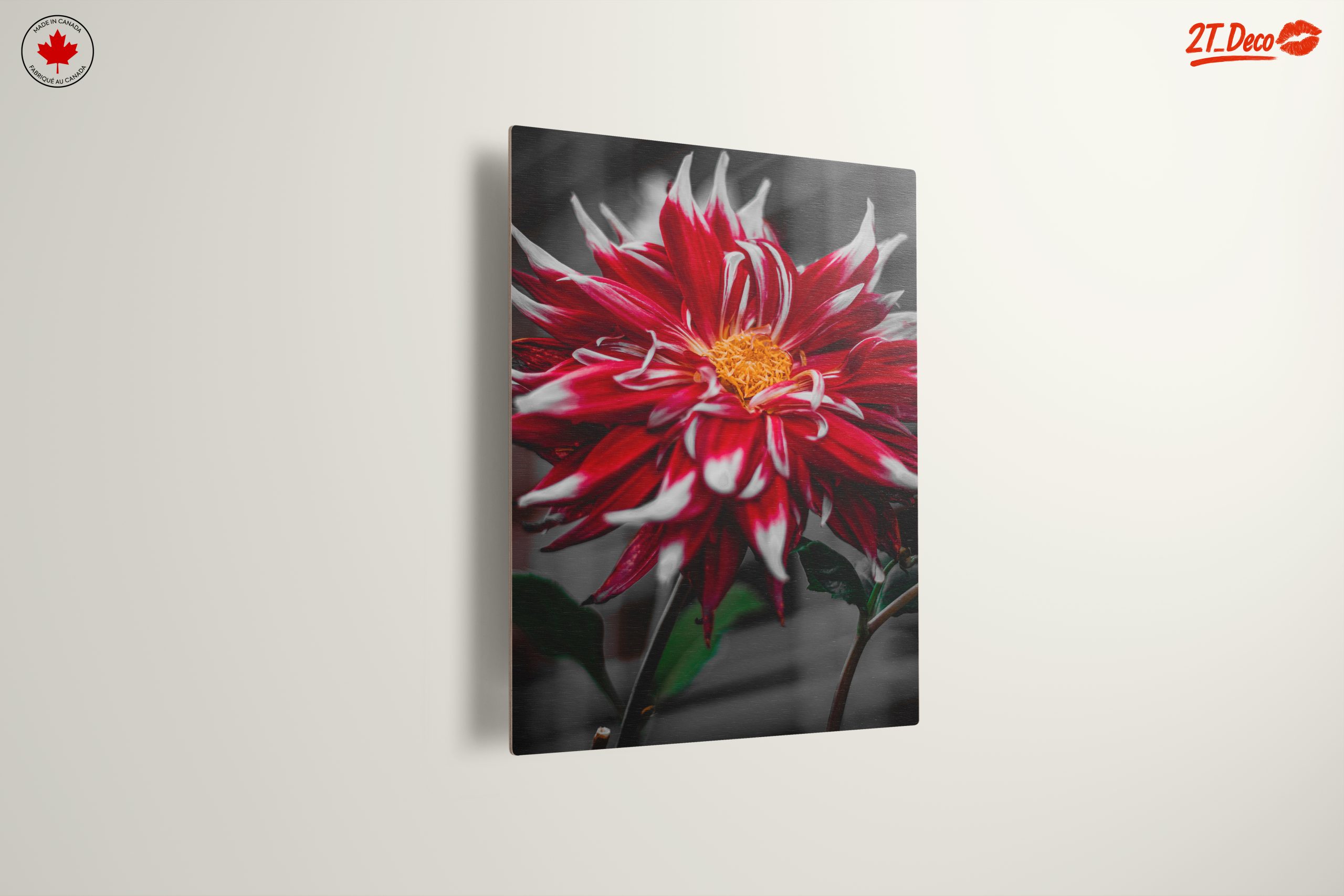 Vibrant Flower in Bold Colors - Image 13