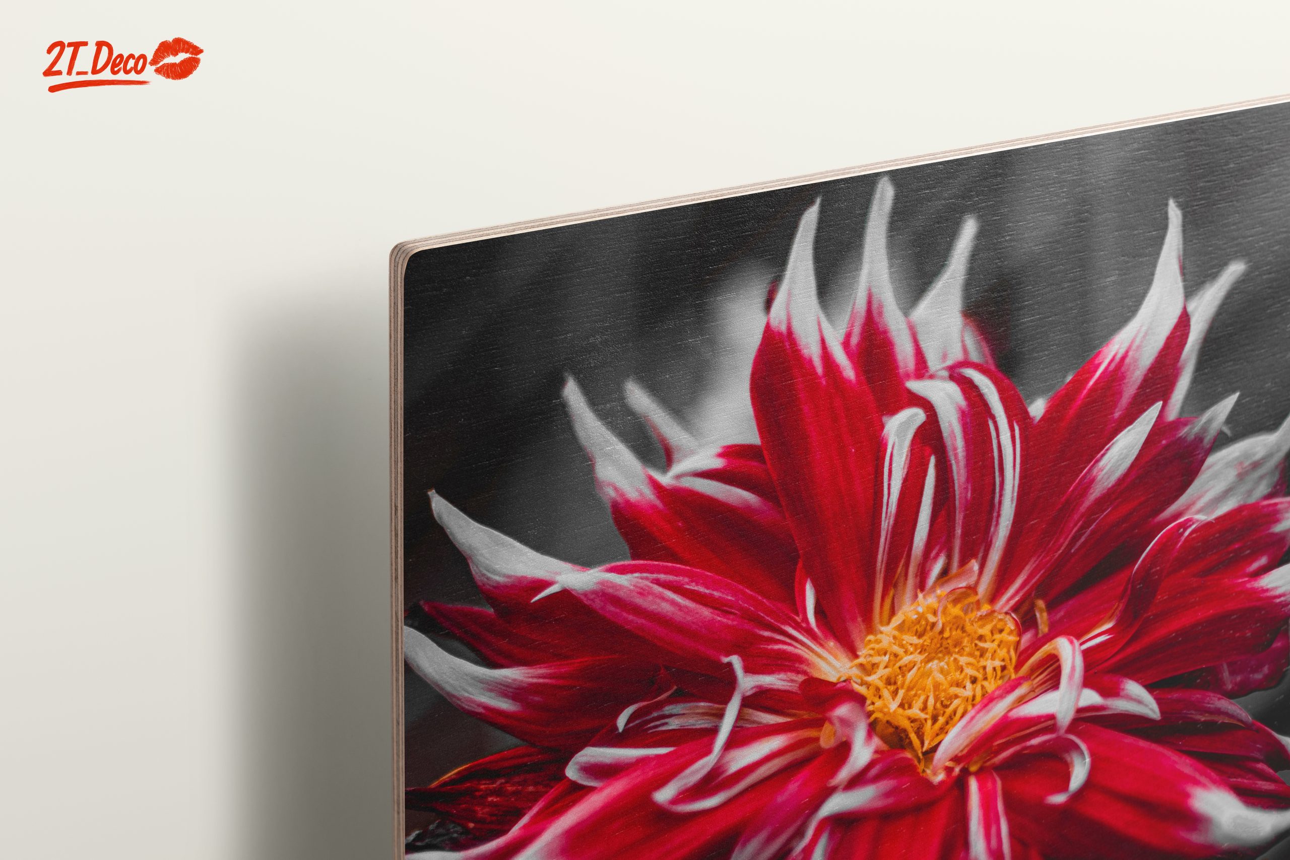 Vibrant Flower in Bold Colors - Image 15