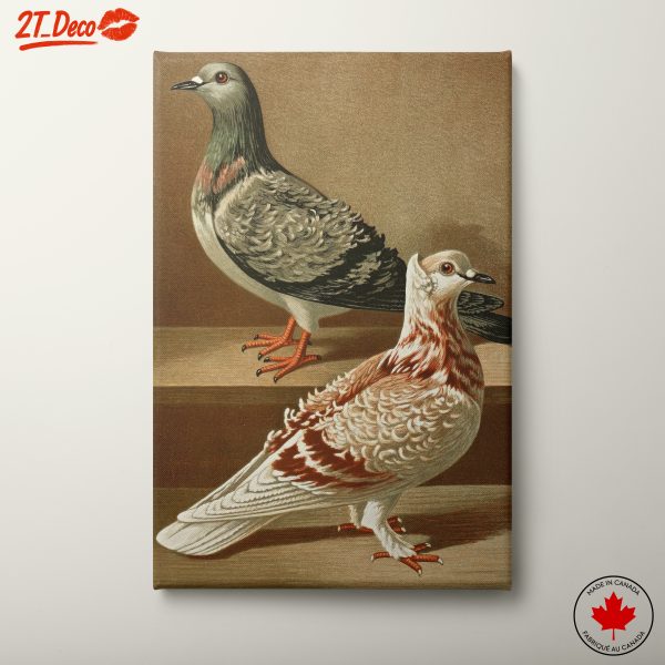 Elegant Birds in Detailed Illustration