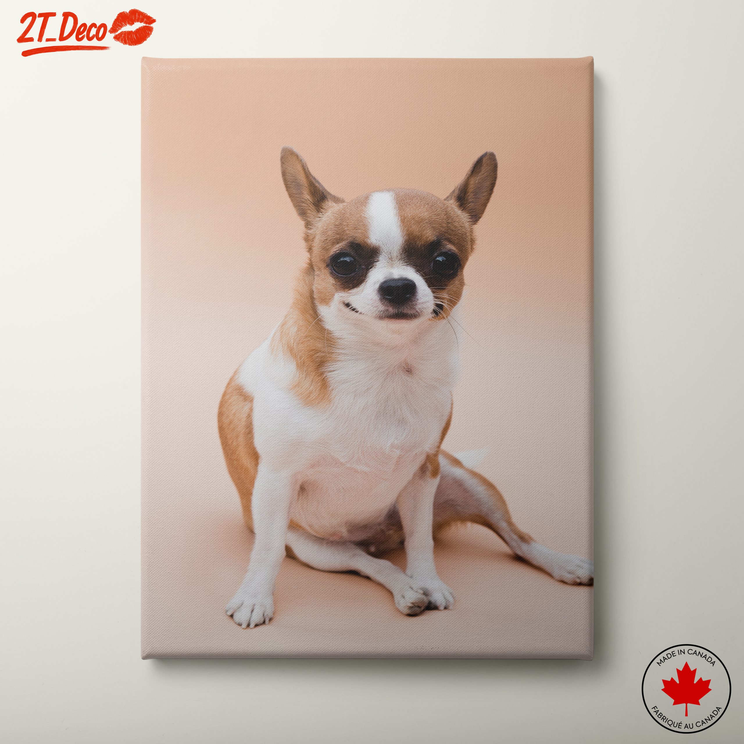 Charming Chihuahua Dog