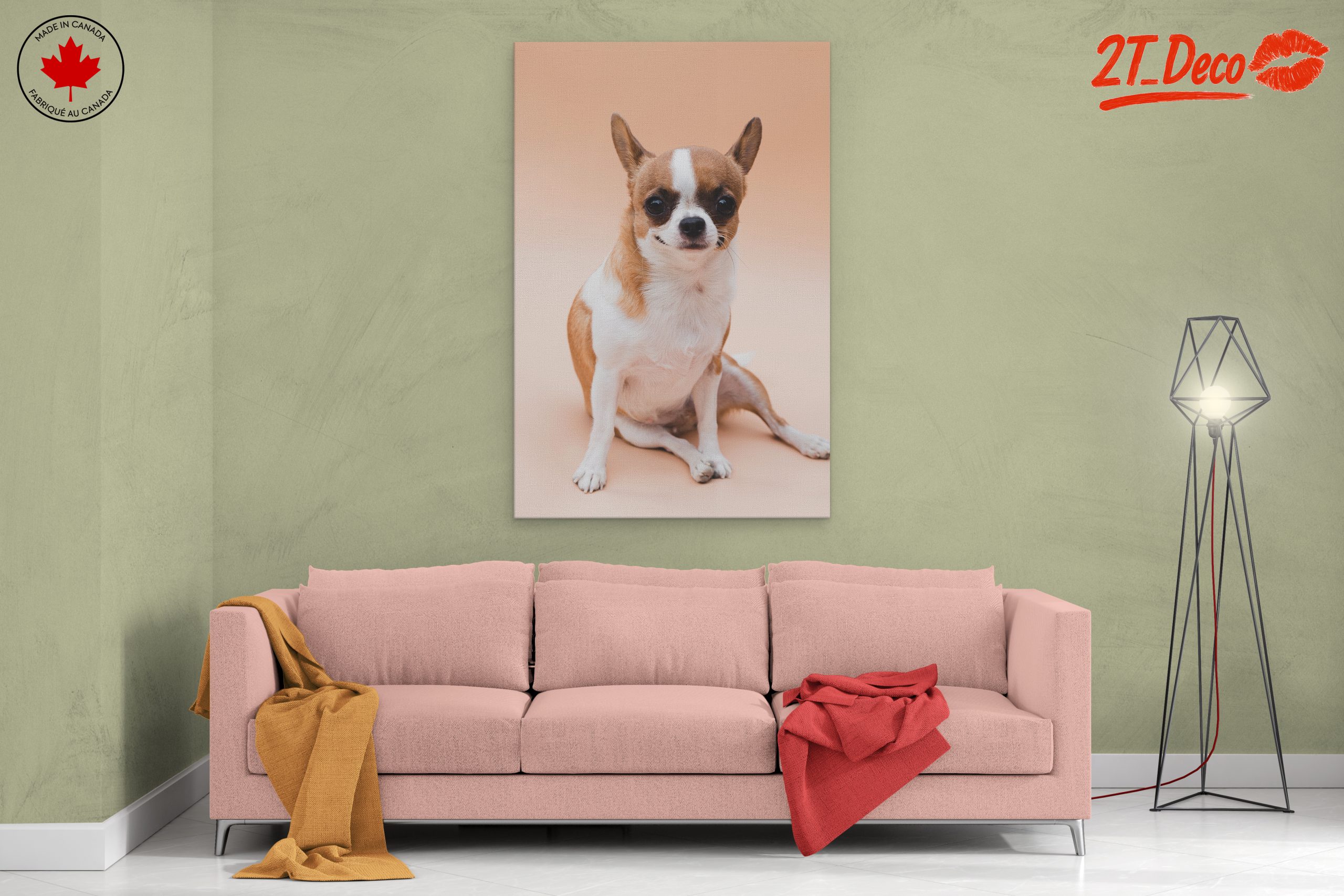 Charming Chihuahua Dog - Image 2