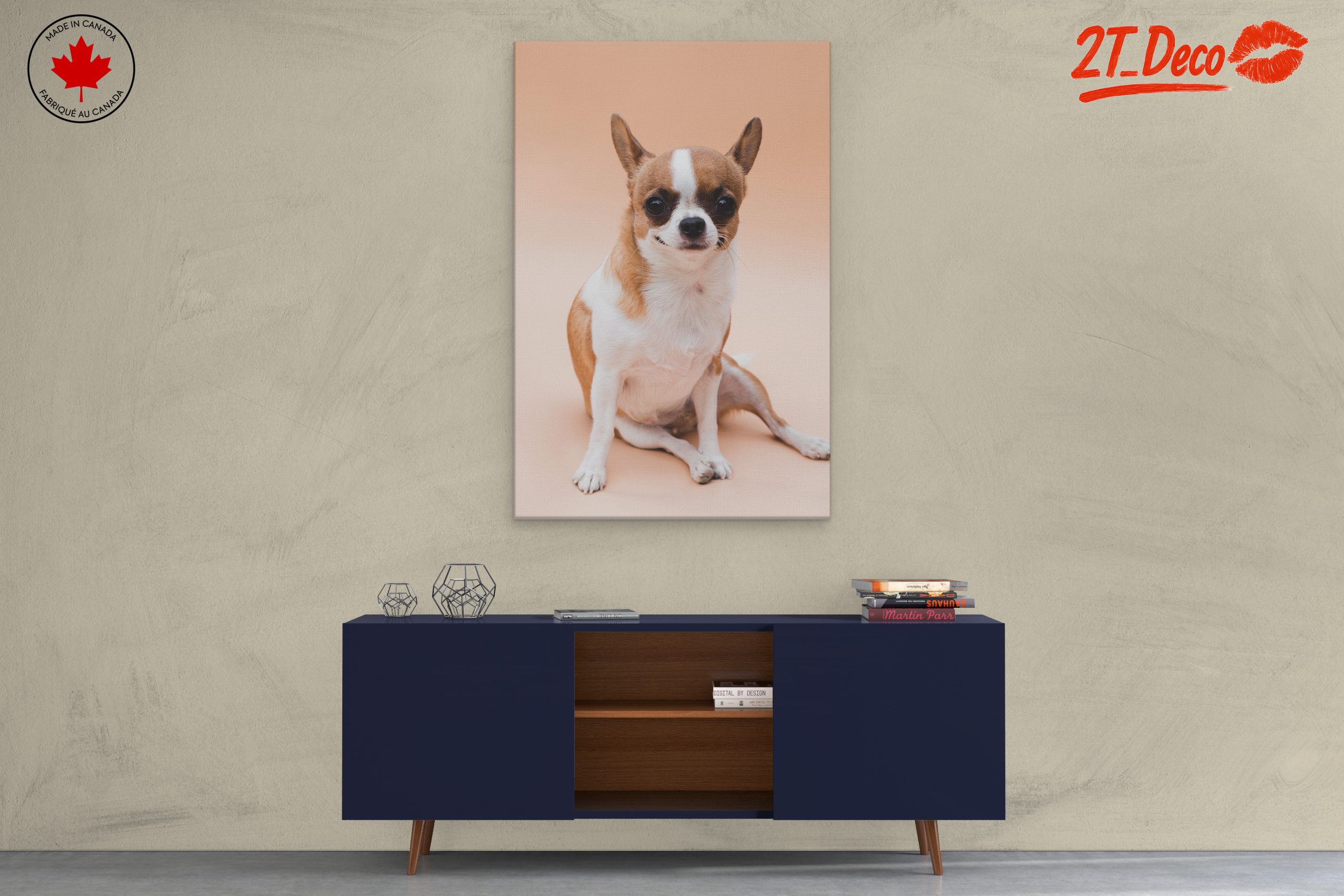Charming Chihuahua Dog - Image 3