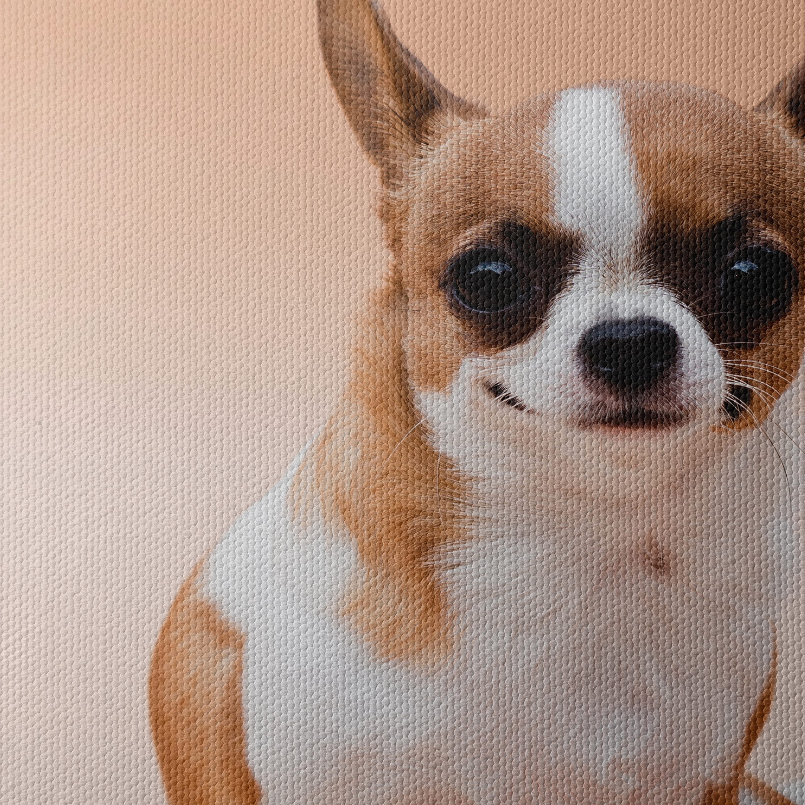 Charming Chihuahua Dog - Image 4