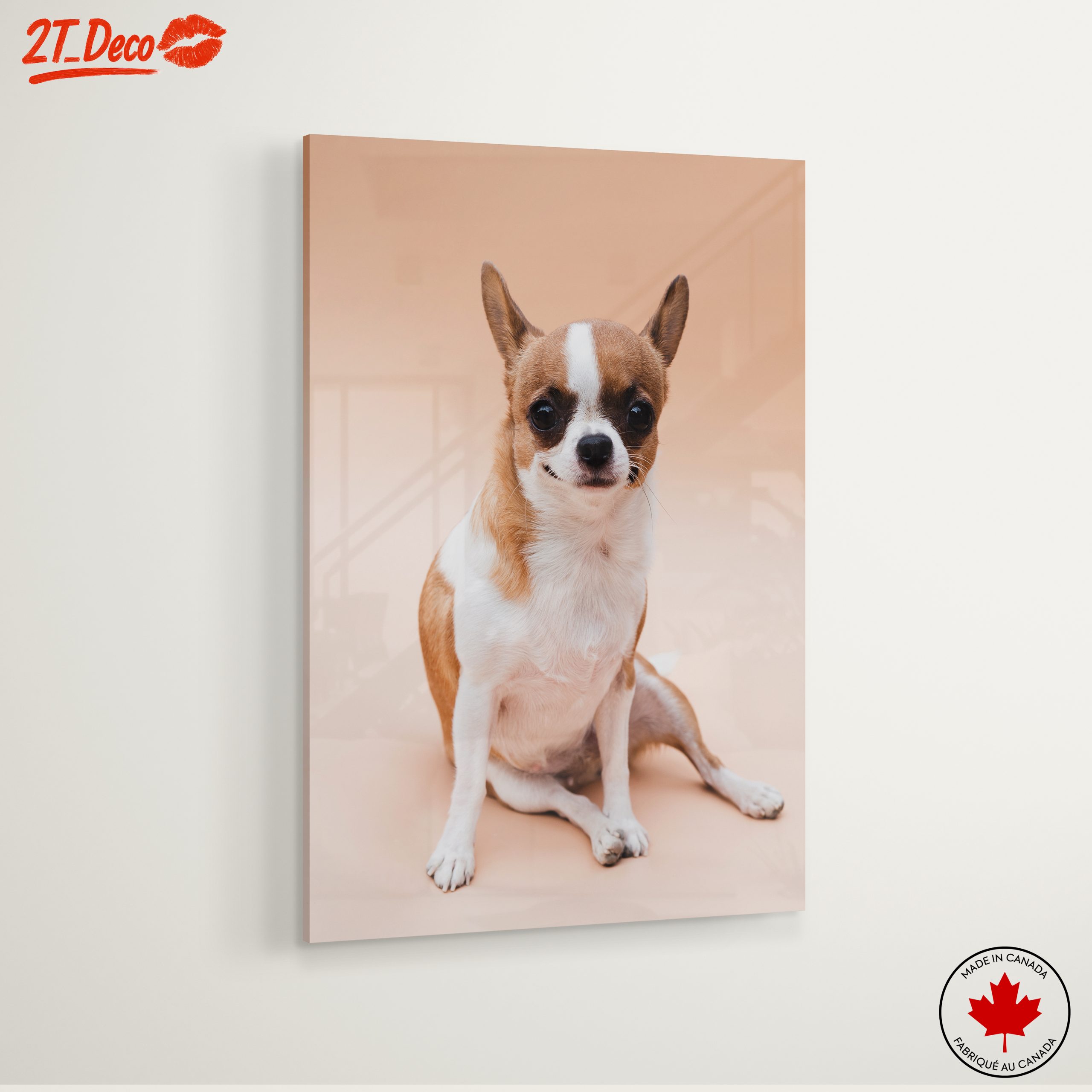 Charming Chihuahua Dog - Image 6
