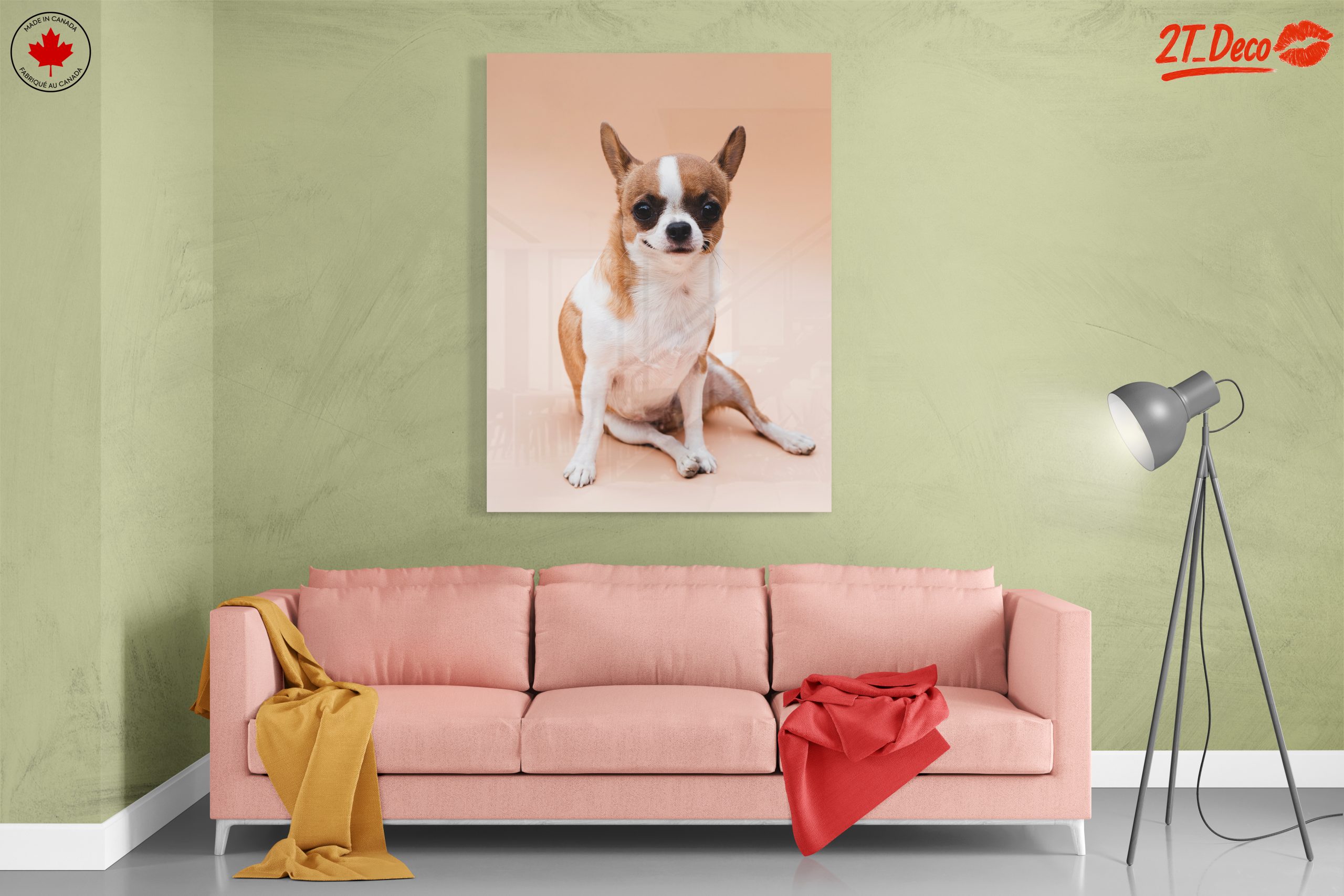 Charming Chihuahua Dog - Image 7
