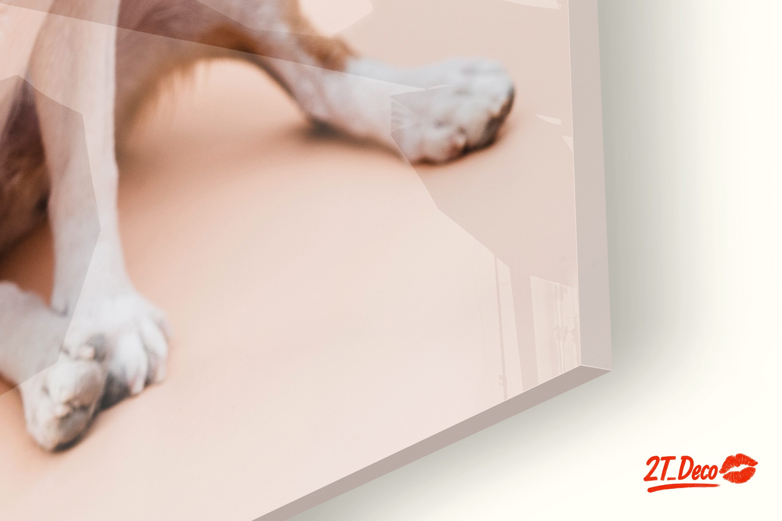Charming Chihuahua Dog - Image 9