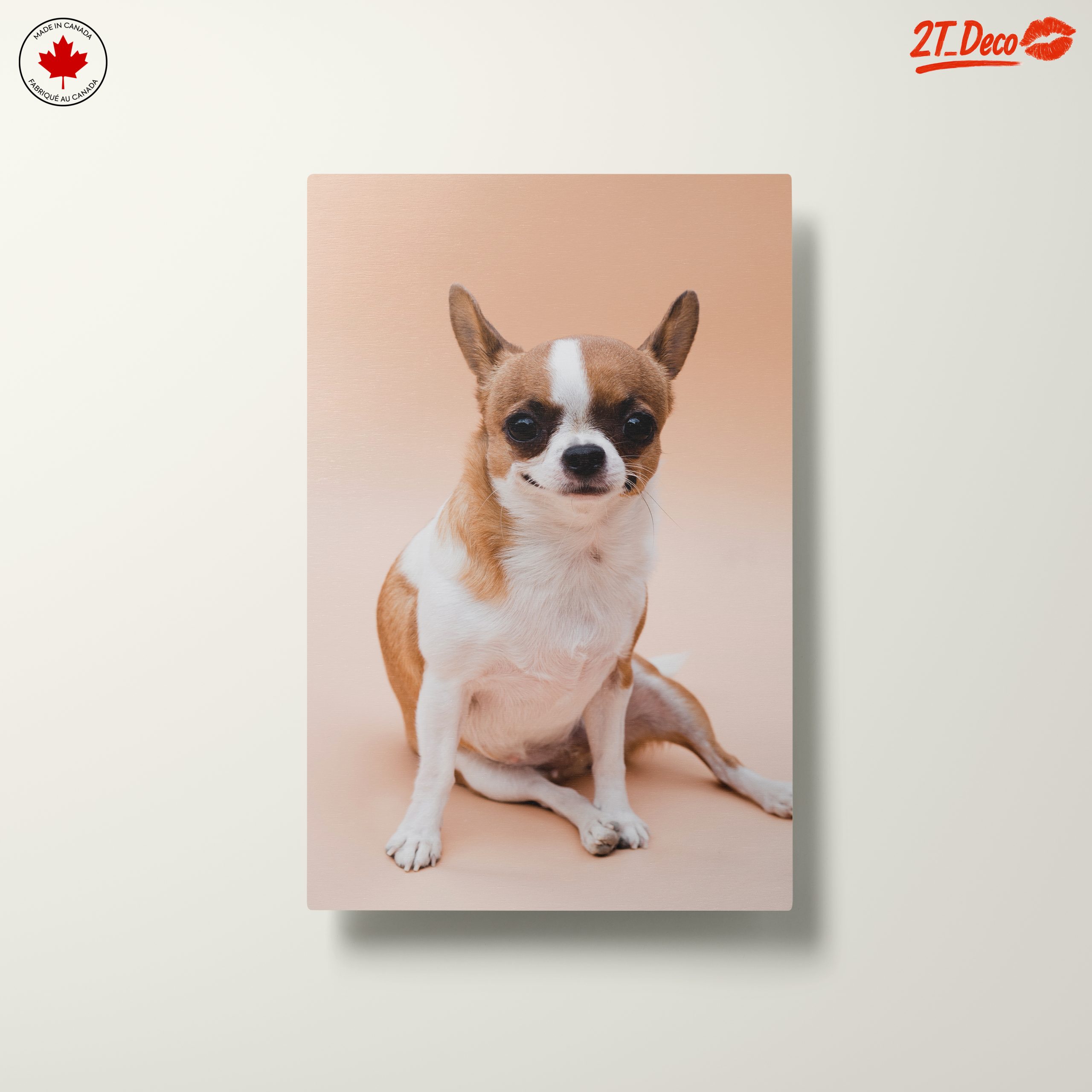 Charming Chihuahua Dog - Image 10