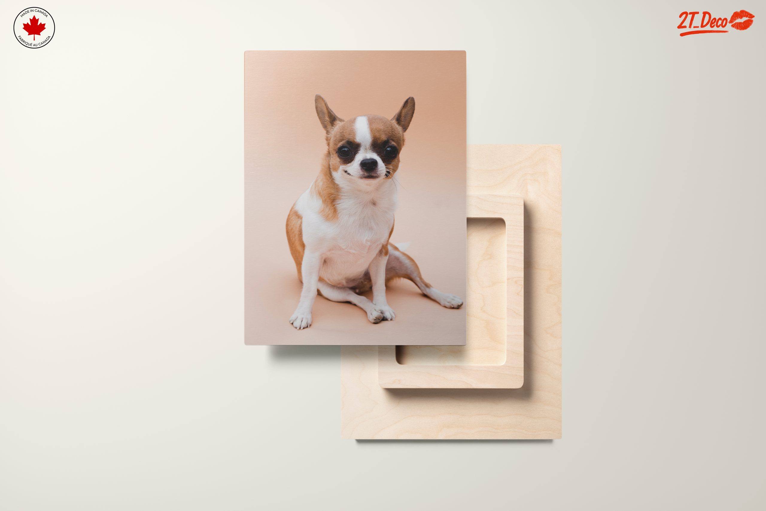 Charming Chihuahua Dog - Image 11