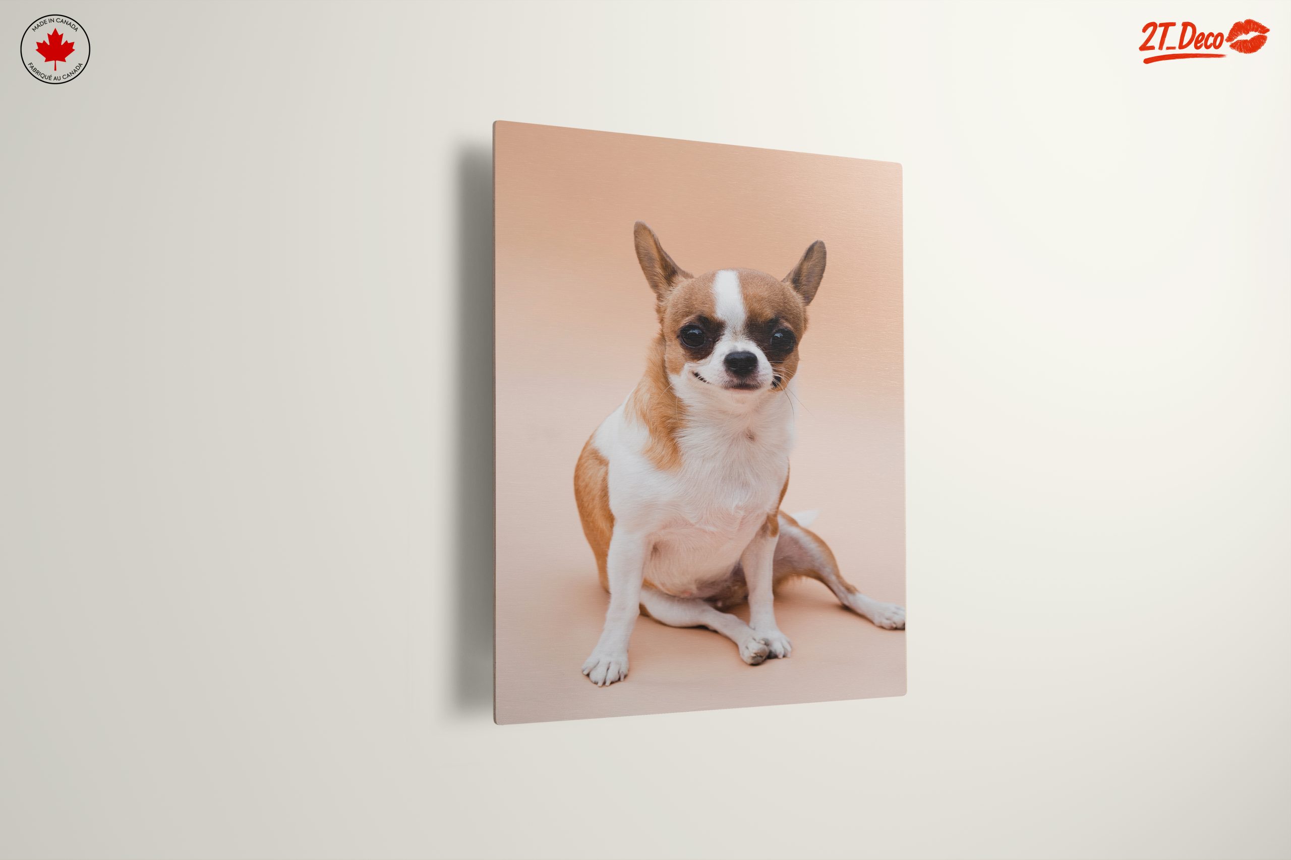 Charming Chihuahua Dog - Image 13