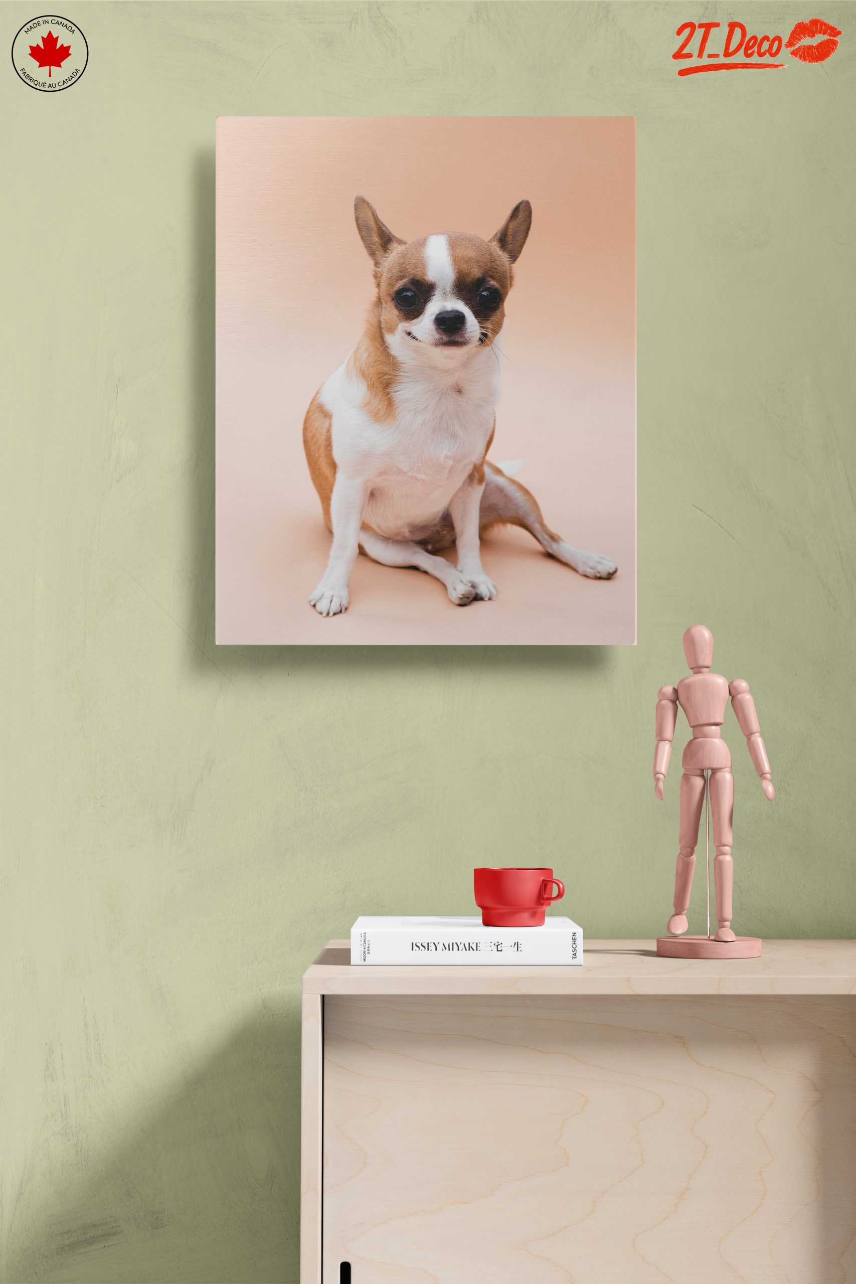 Charming Chihuahua Dog - Image 14