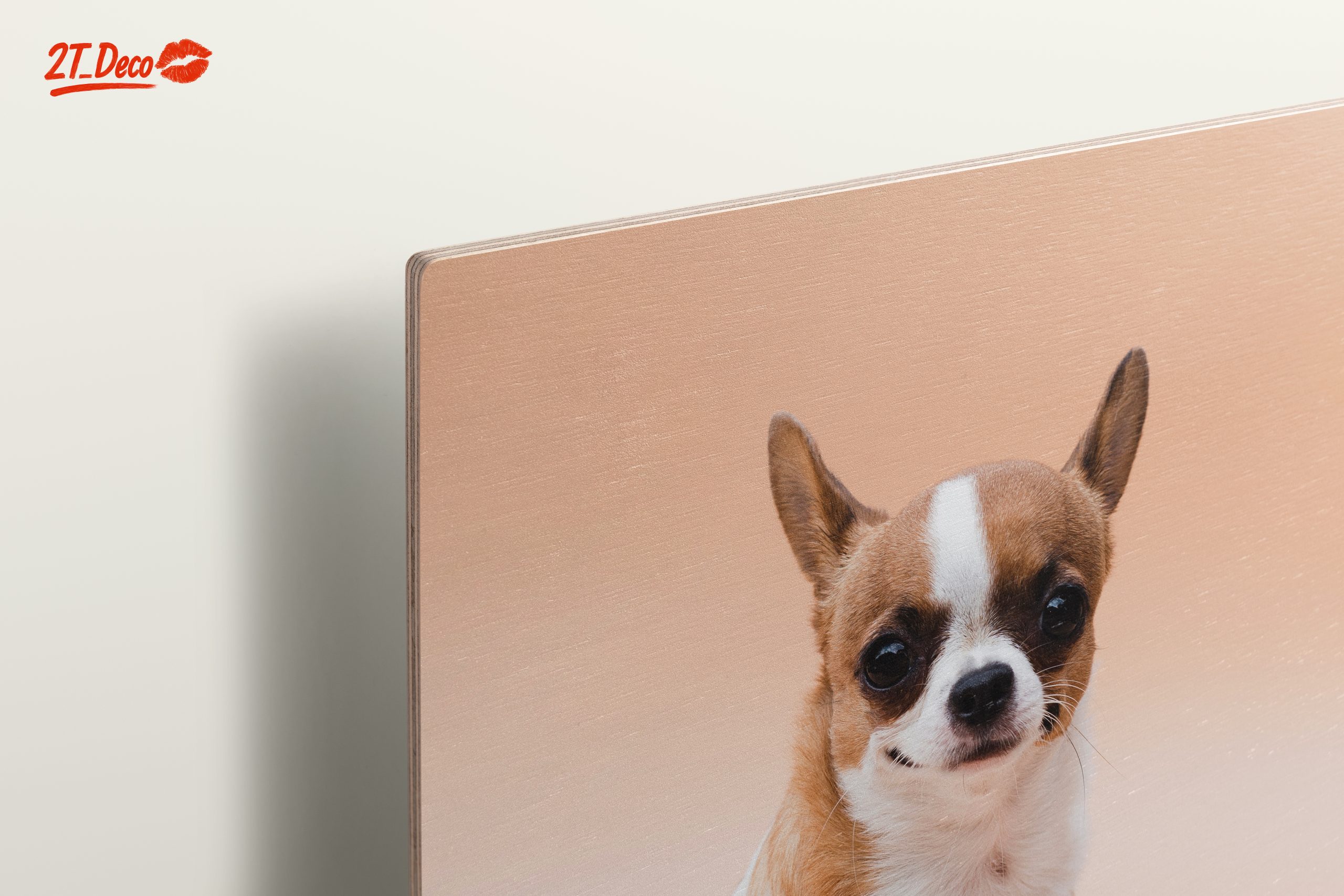 Charming Chihuahua Dog - Image 15