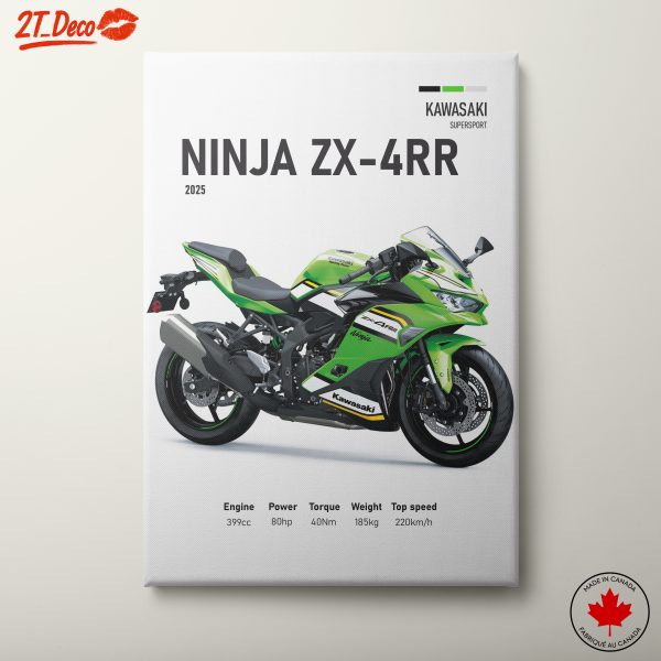 Kawasaki Ninja ZX-4RR Motorcycle Artwork