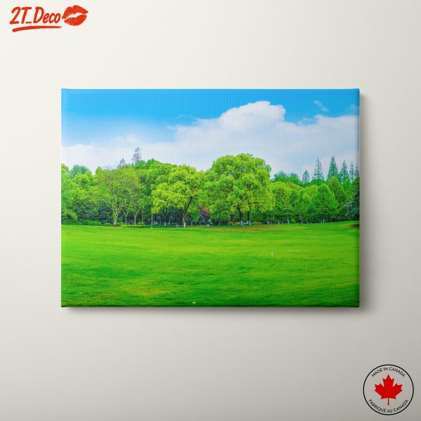 Serene Green Nature Landscape