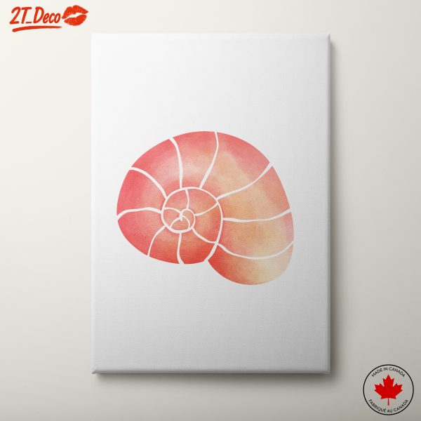 Watercolor Nautilus Shell Artwork