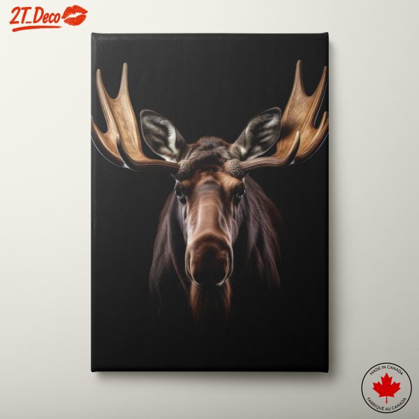 Majestic Moose Portrait on Black