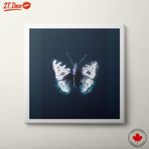 Elegant Butterfly Artwork on Dark Background