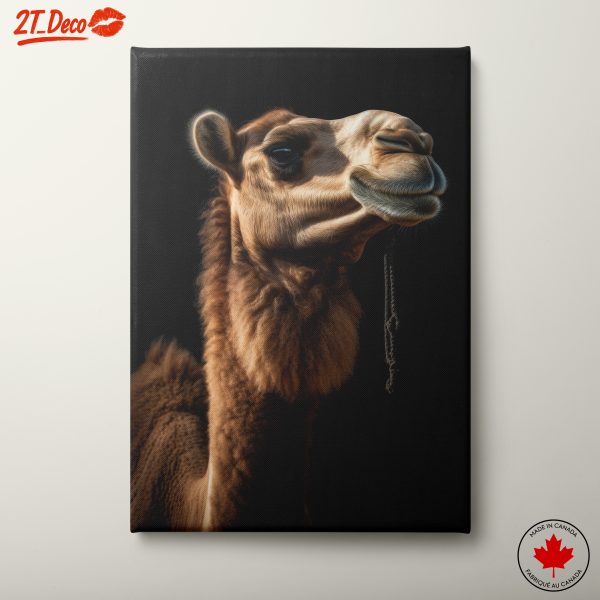 Majestic Desert Mammal Camel Portrait