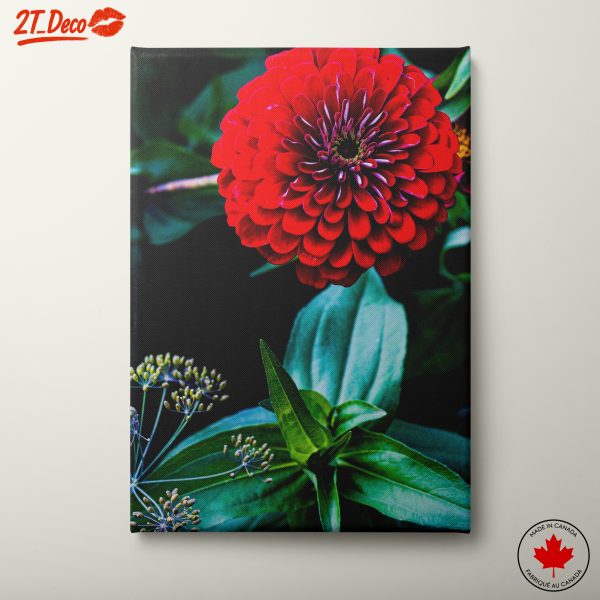 Vibrant Red Flower with Green Leaves