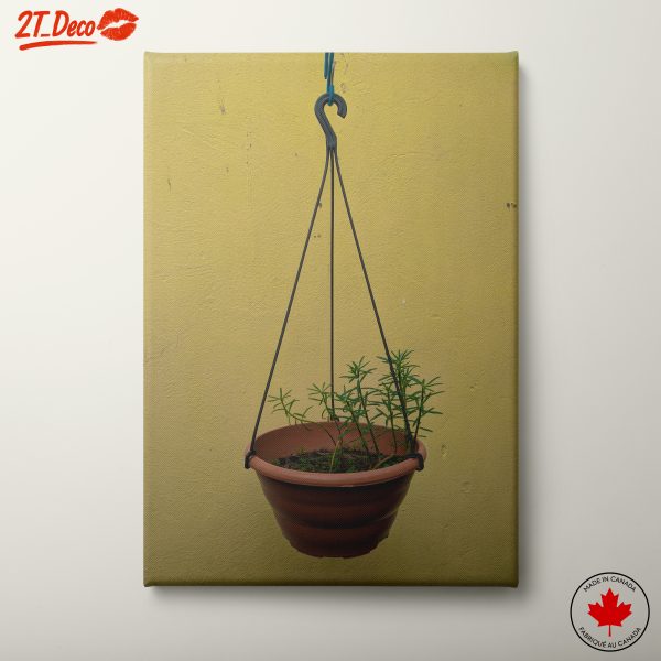 Hanging Plant Against Yellow Wall