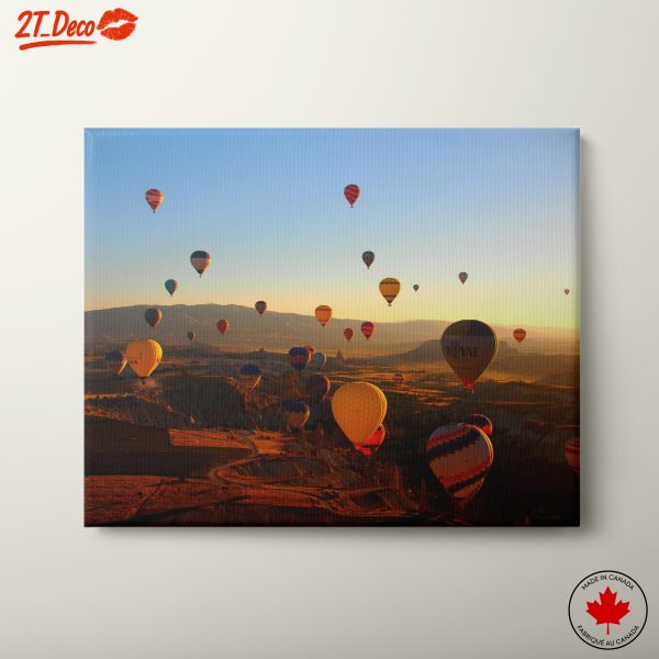 Stunning Hot Air Balloons Over Scenic Landscape