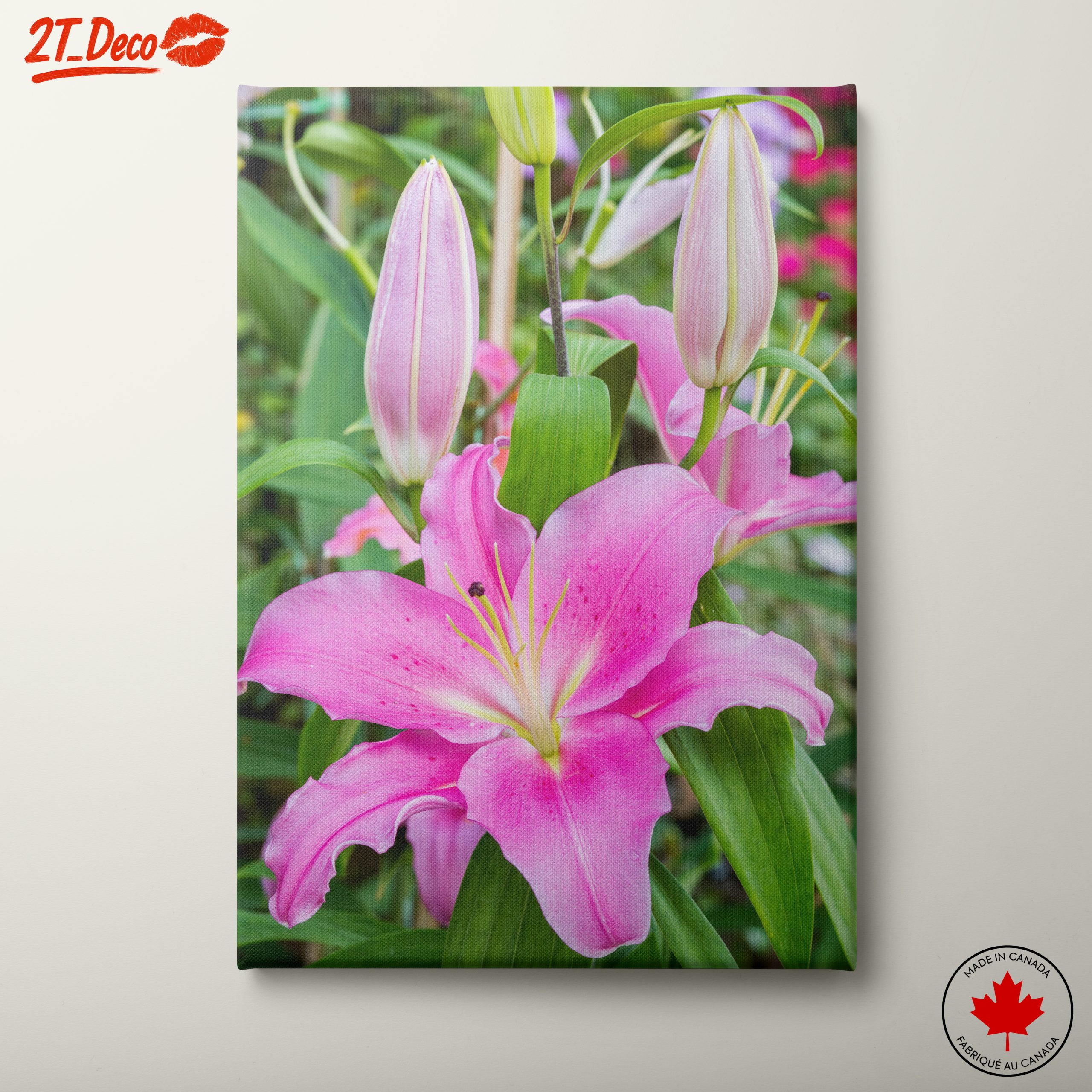 Stunning Pink Lilies in Bloom