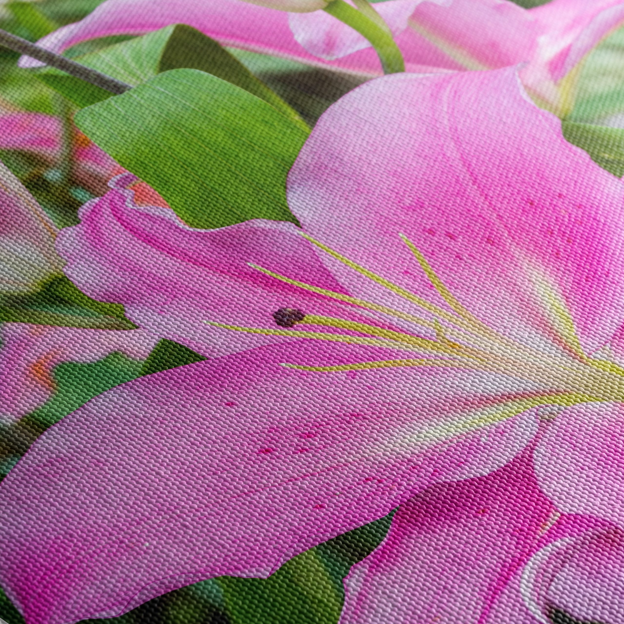Stunning Pink Lilies in Bloom - Image 5