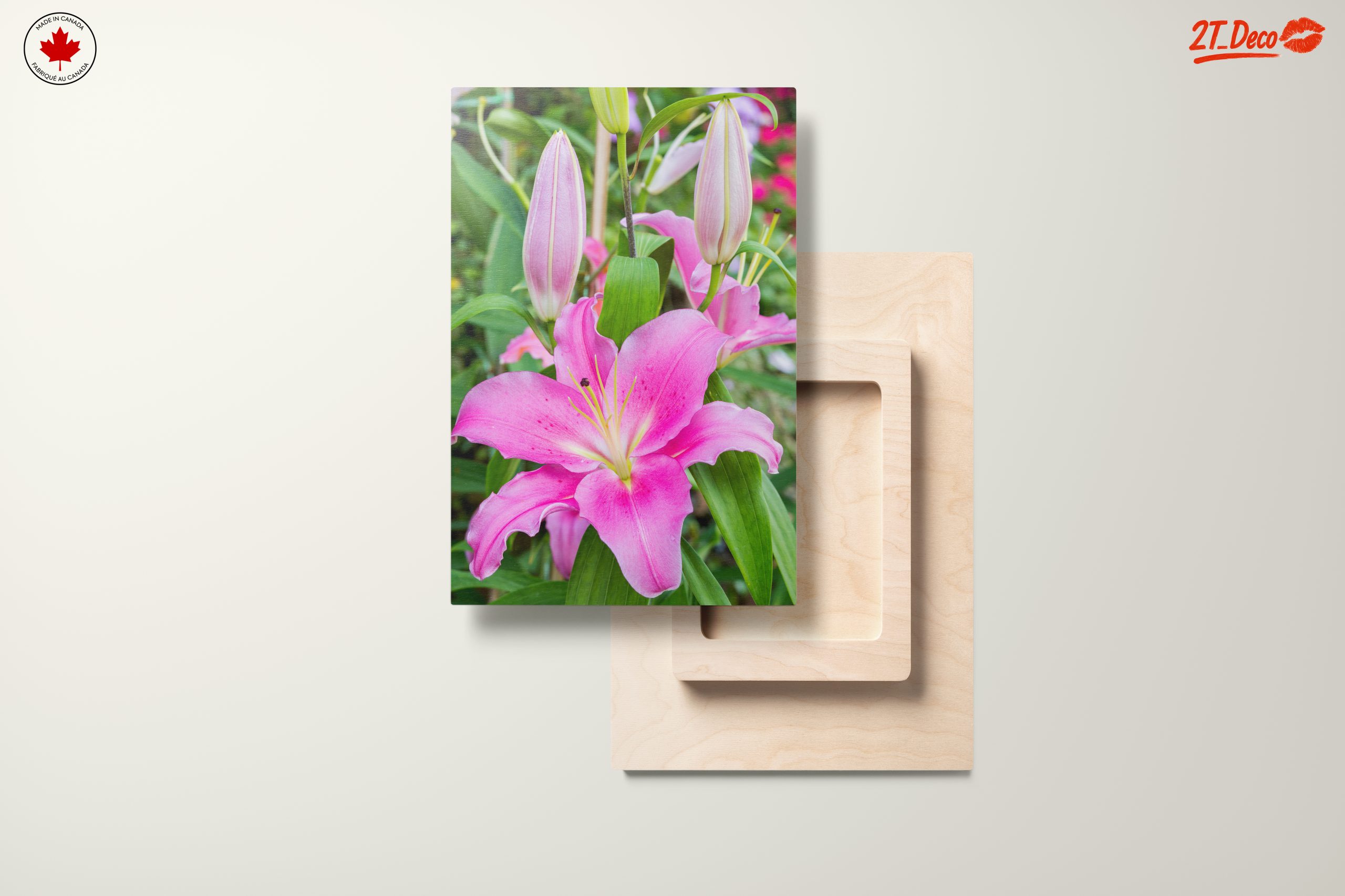 Stunning Pink Lilies in Bloom - Image 11