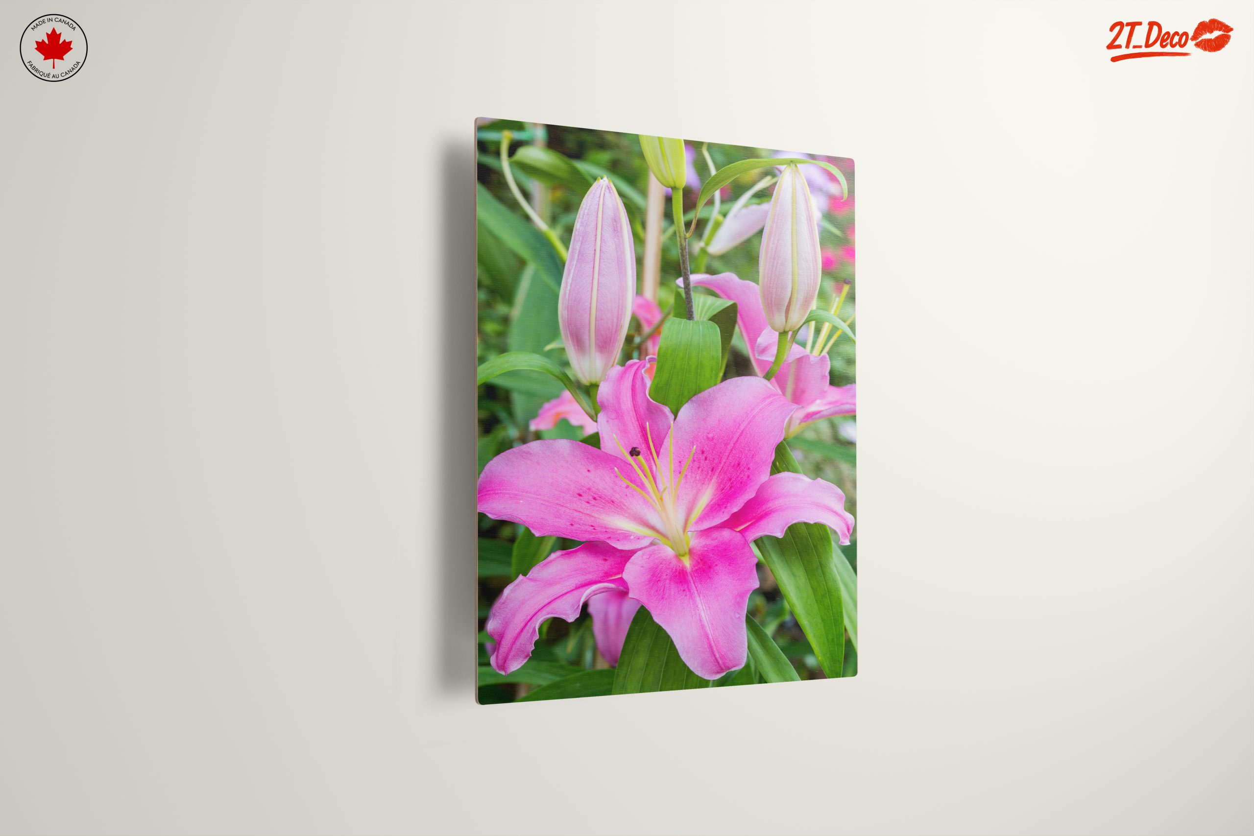 Stunning Pink Lilies in Bloom - Image 13